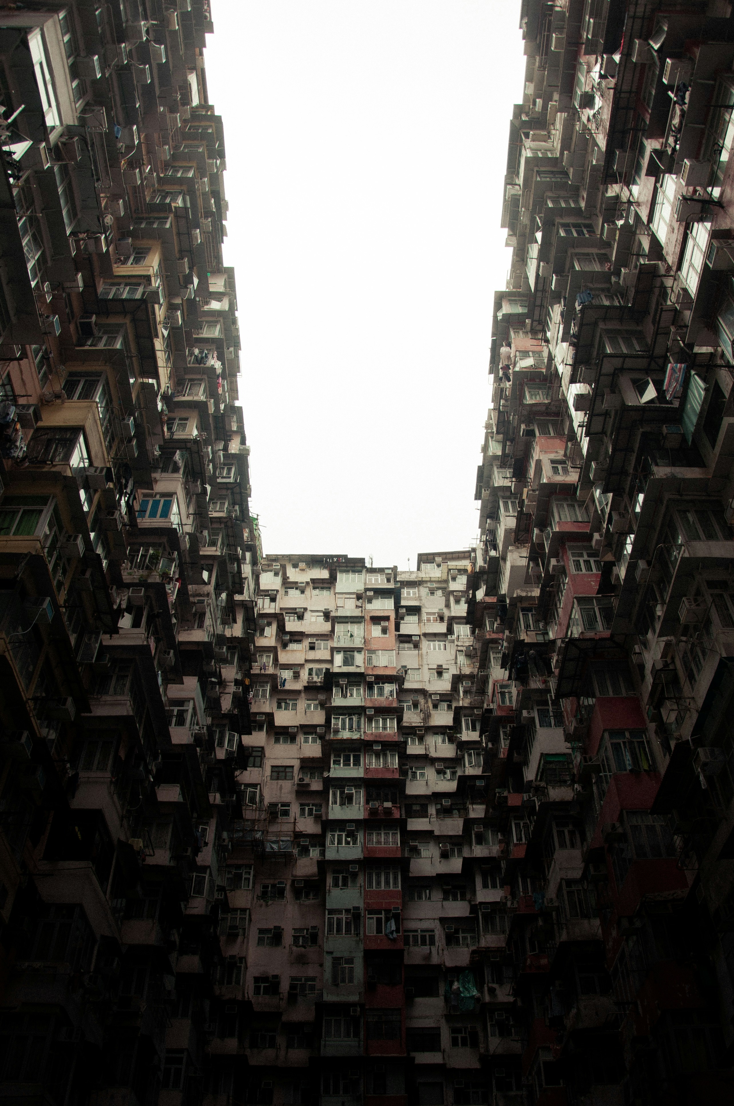 Photo by nilepereiraa