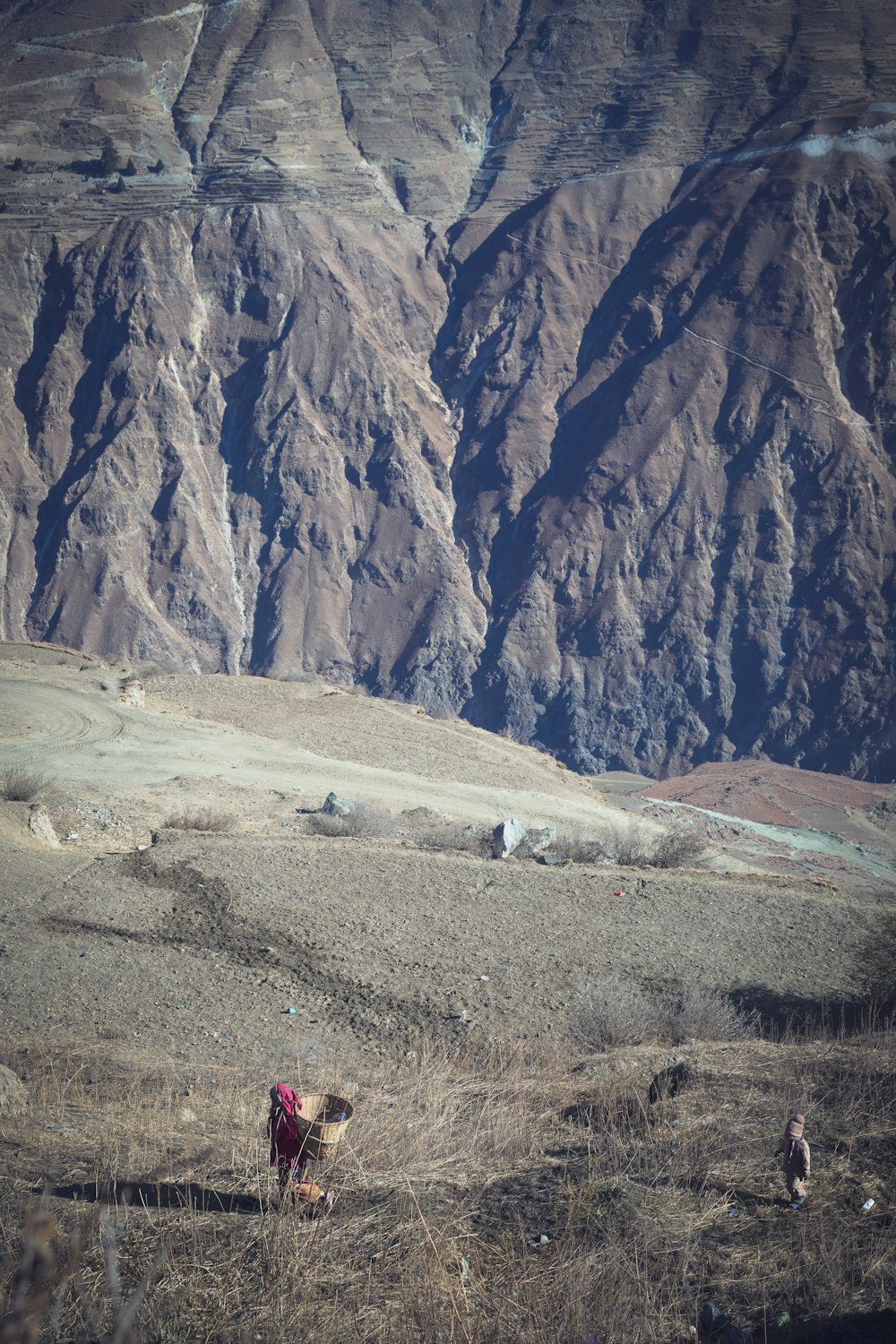 a person walking through a field with a mountain in the background