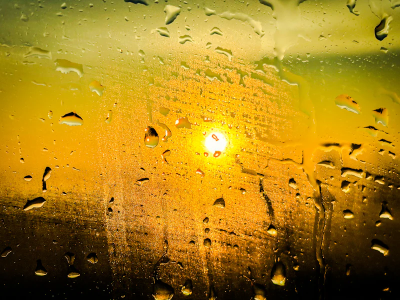 sun through hazy car window