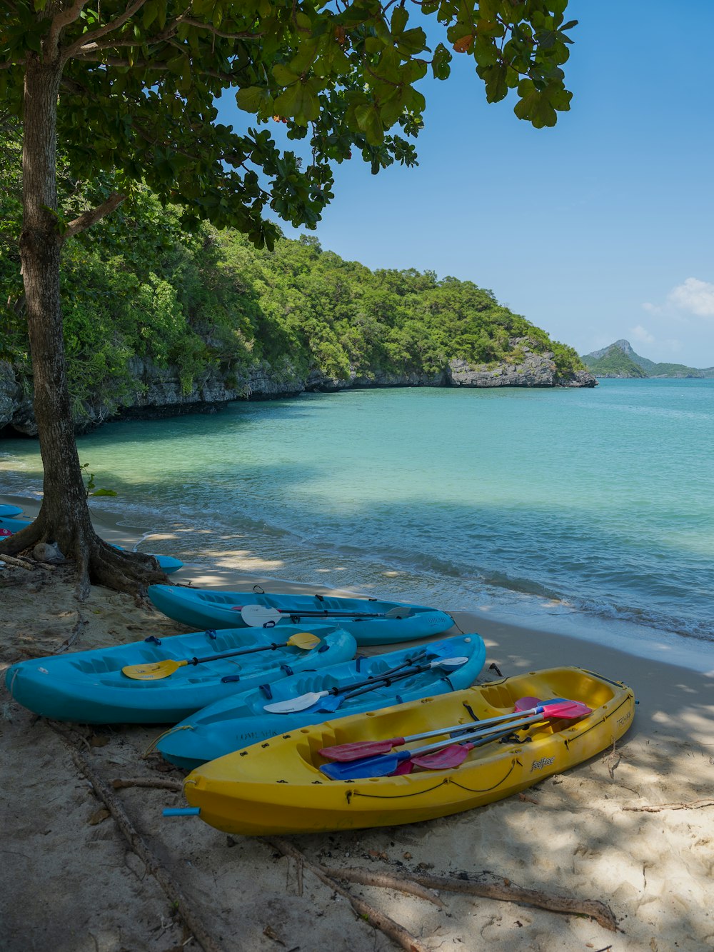 a group of kayaks sitting on top of a sandy beach