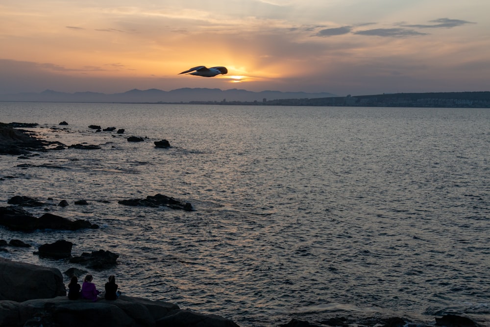 Un grupo de personas de pie en la cima de una playa rocosa