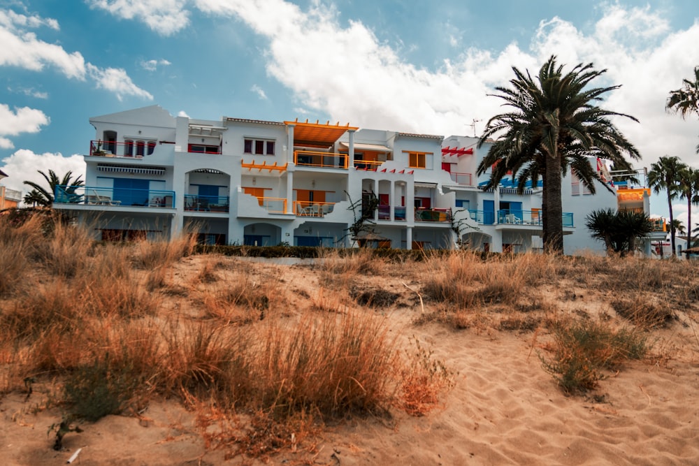 Un edificio en una playa con palmeras