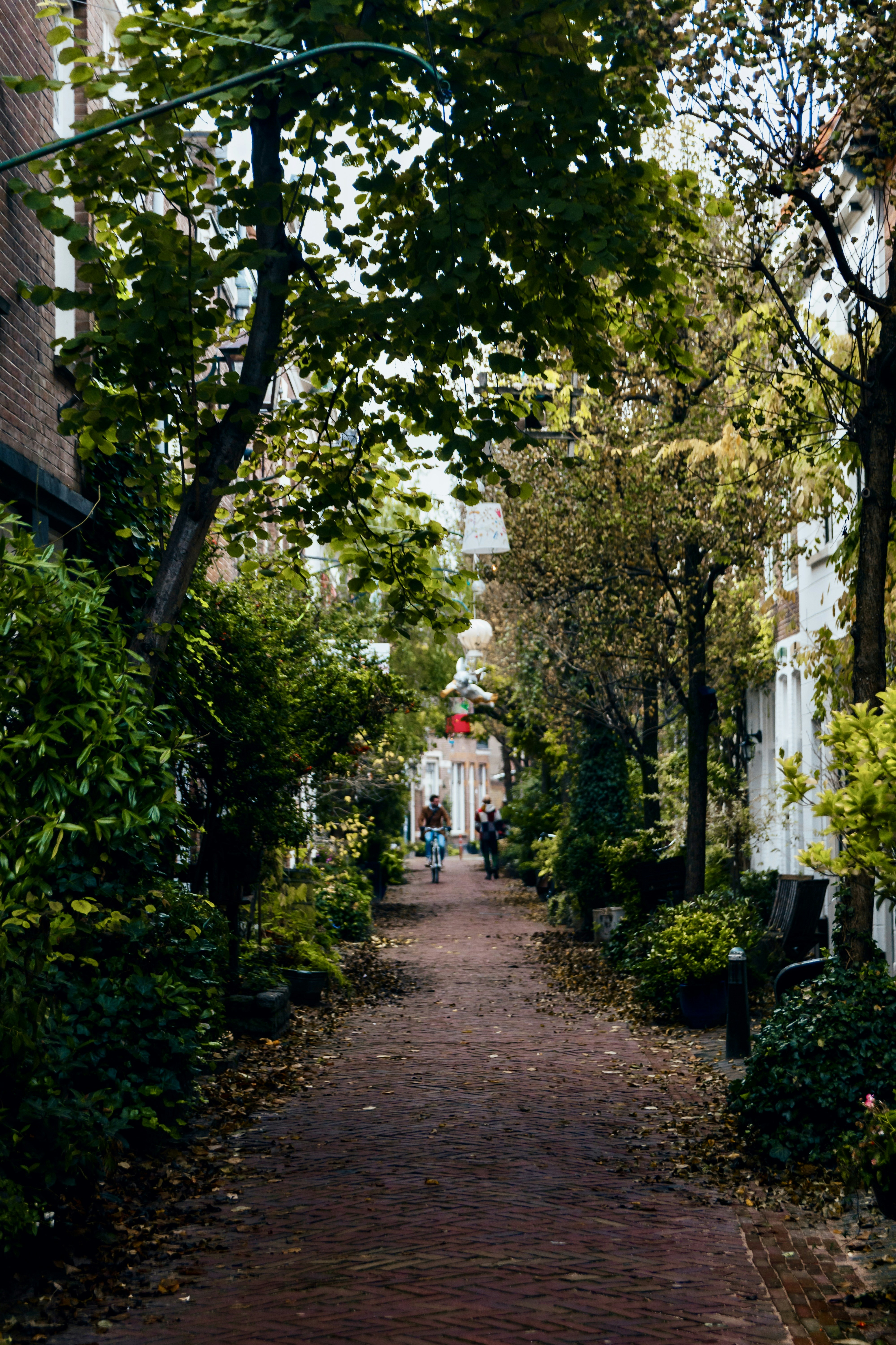 Haarlem – Geography & Spatial Structure