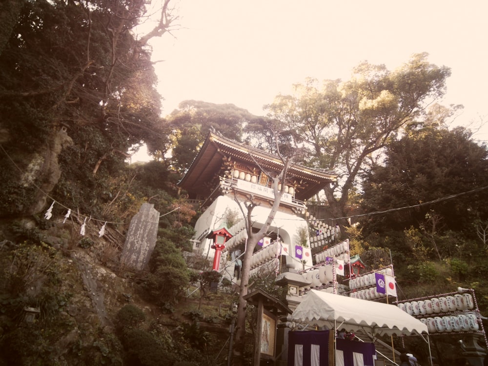 a house on a hill with lots of trees around it