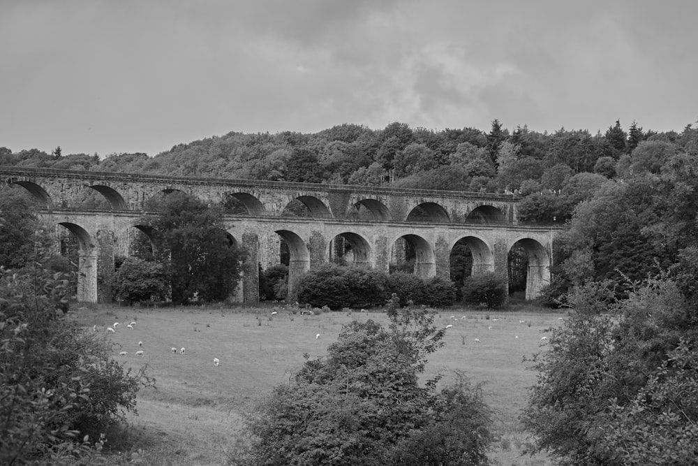 a black and white photo of a stone bridge