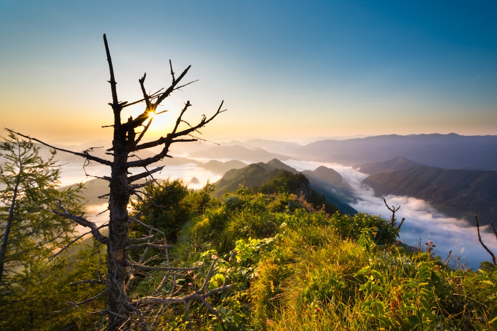 the sun is setting over a mountain range