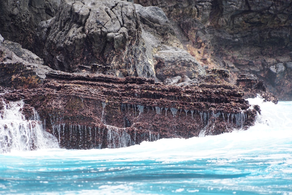 a rock formation with seaweed growing on it