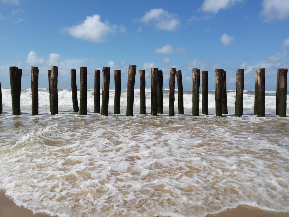 a group of wooden posts sticking out of the ocean