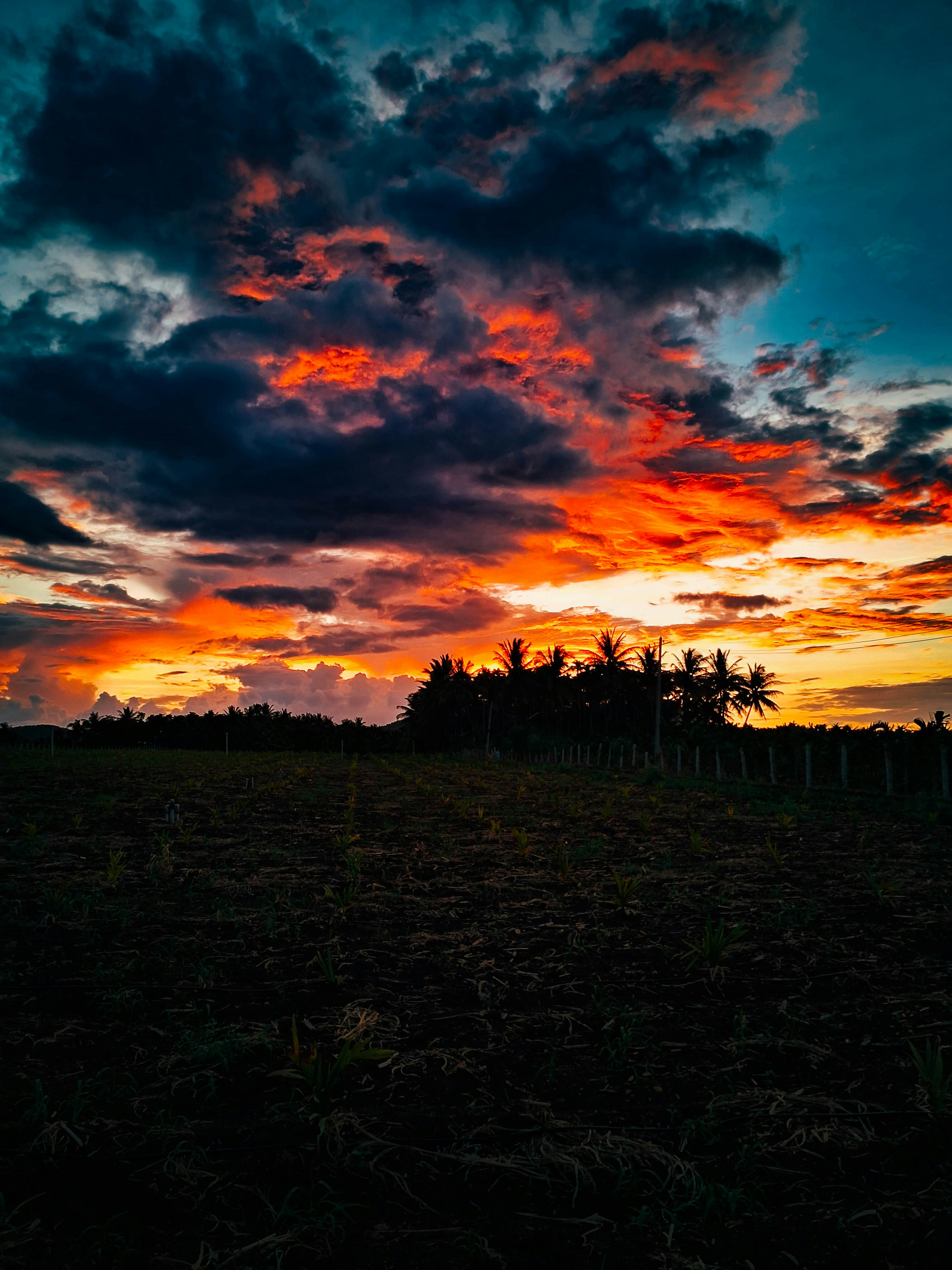 Photo by ruthvikp_photography