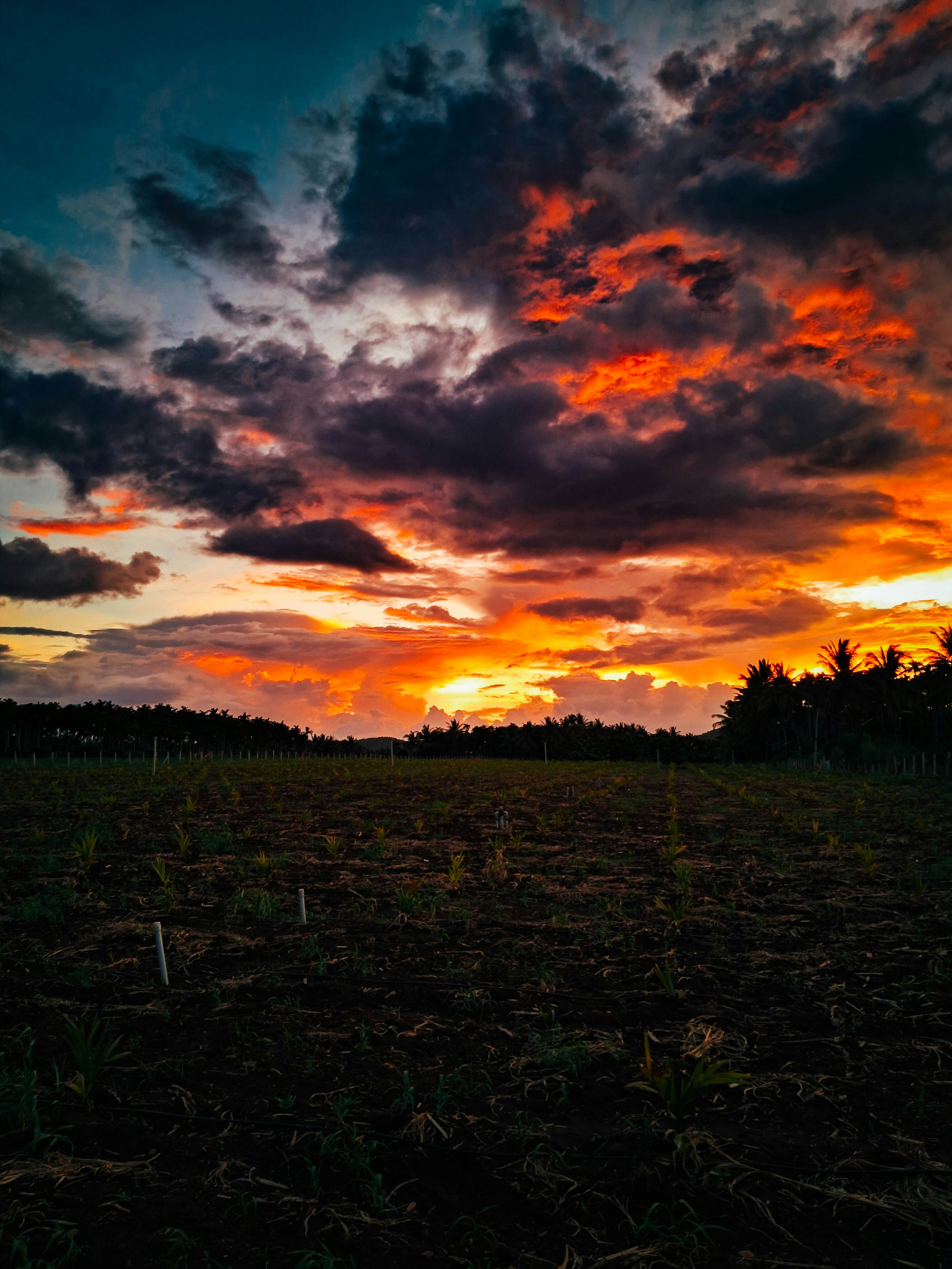 Photo by ruthvikp_photography