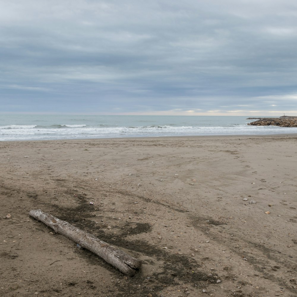 a log laying on a beach next to the ocean