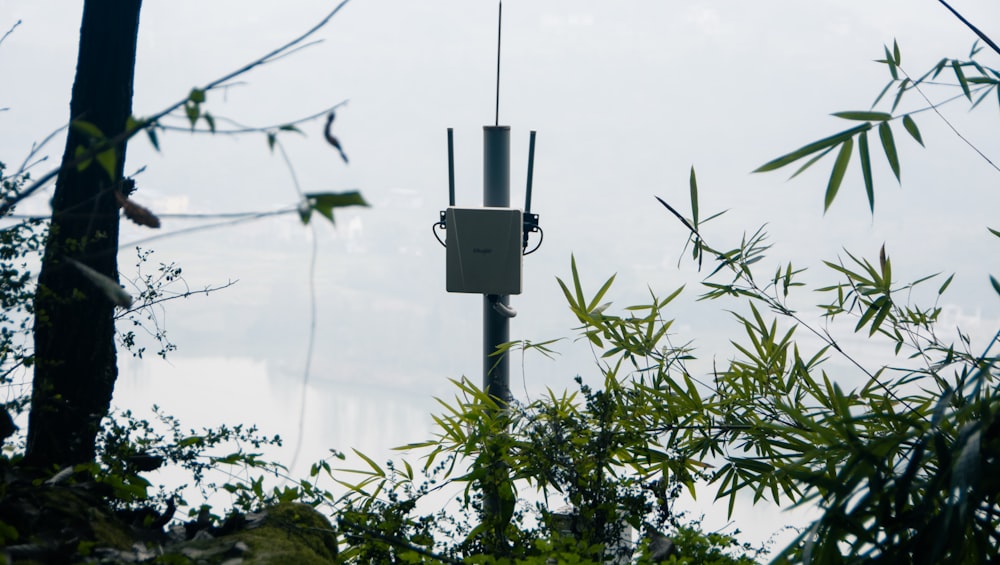 a cell phone is attached to a pole in the woods