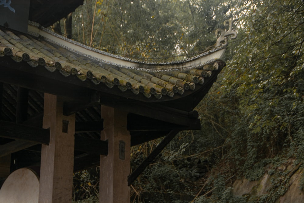 the roof of a building in a forest