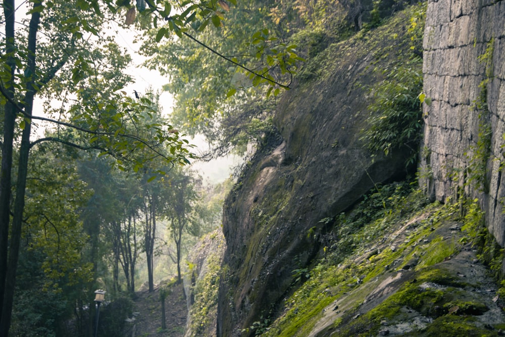 a man riding a horse down a dirt road