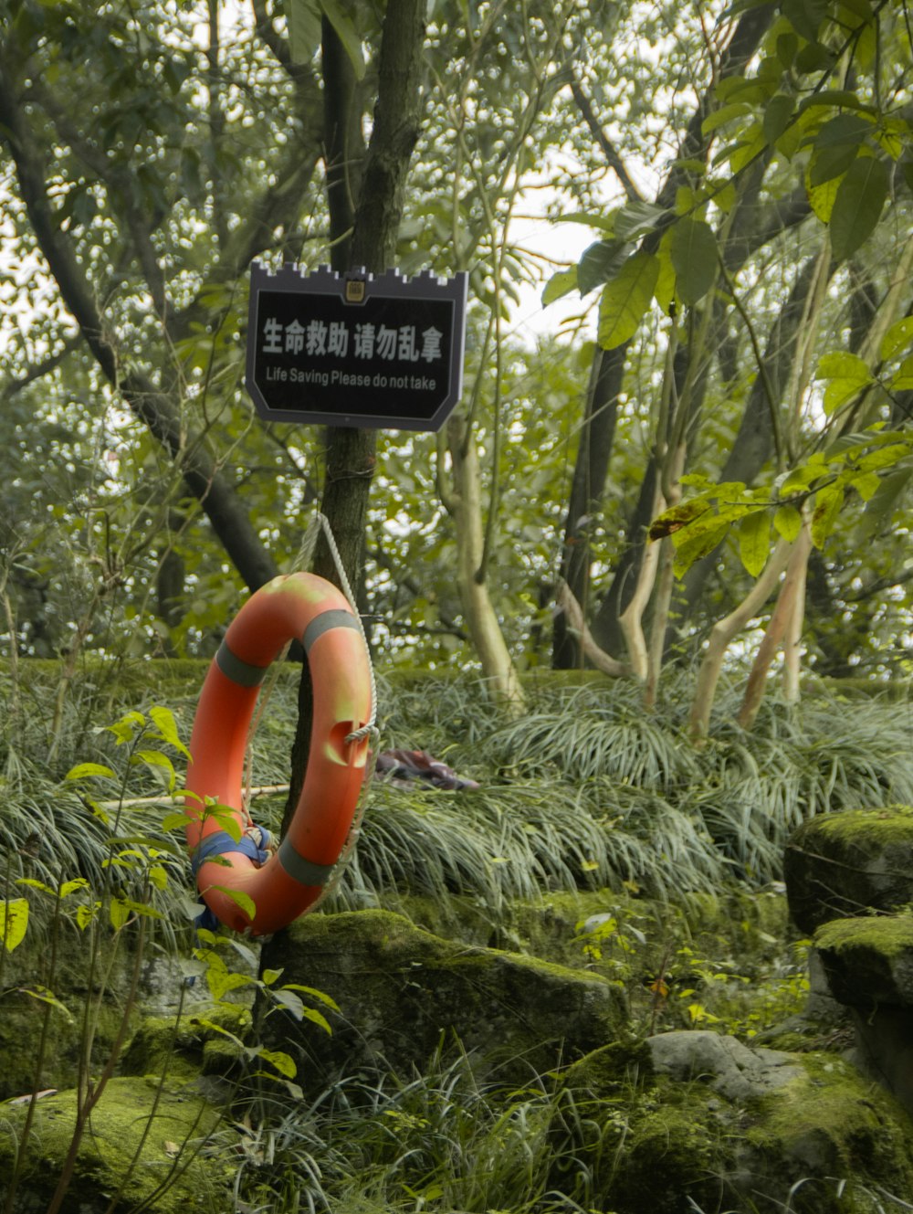 a sign that is in the middle of a forest