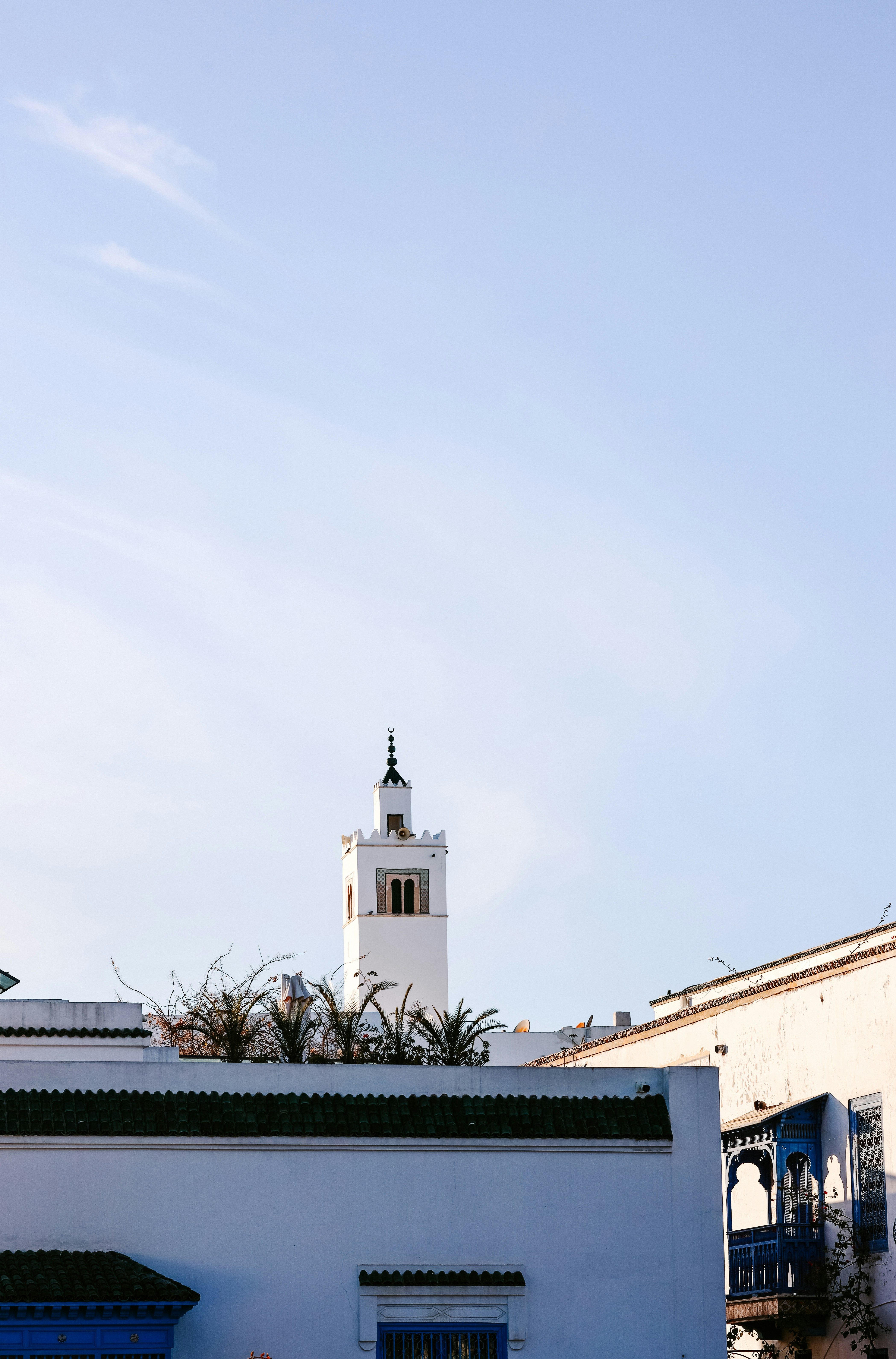 Photo by himo_beast1996