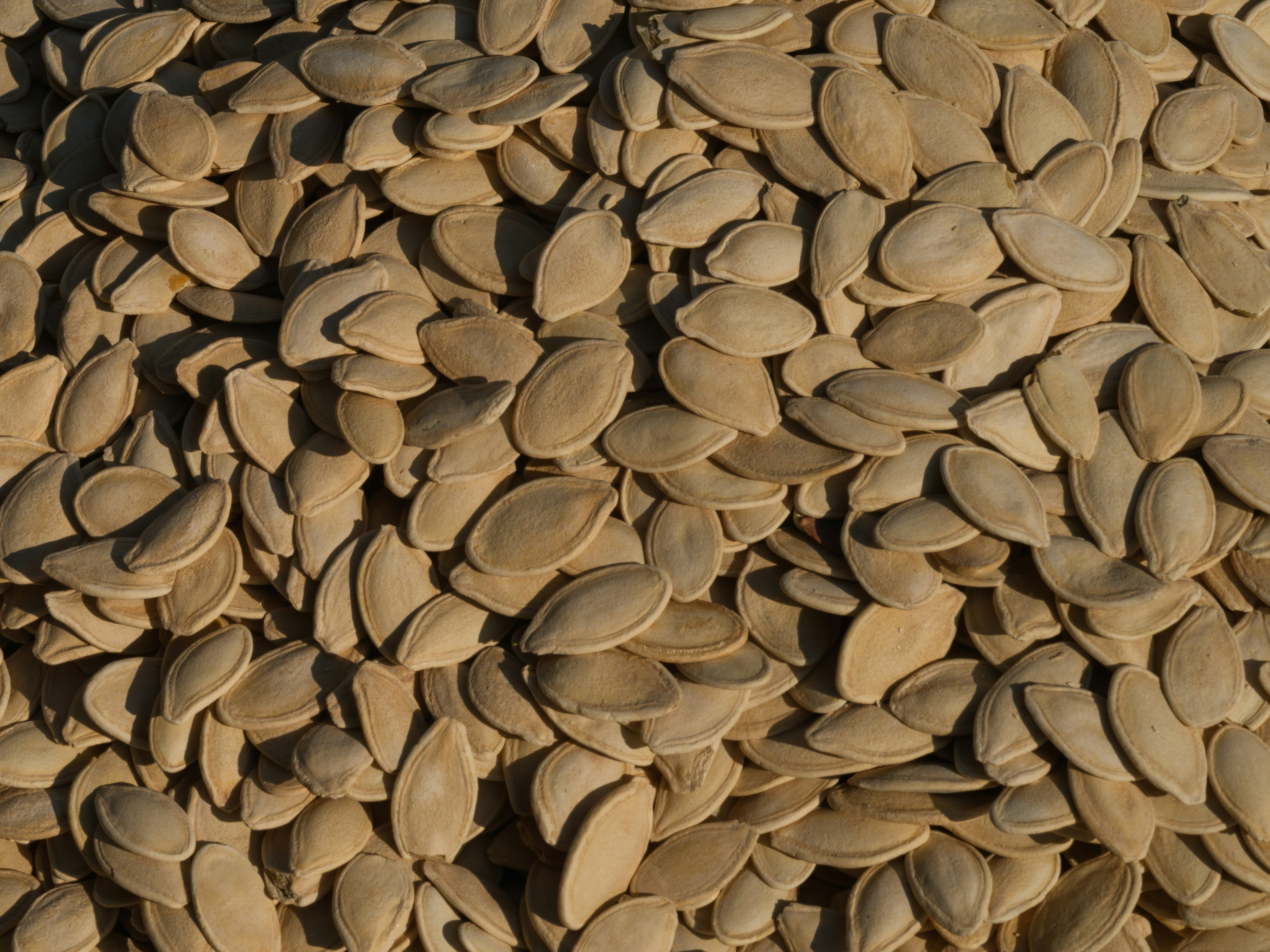 a pile of pumpkin seeds sitting on top of a table
