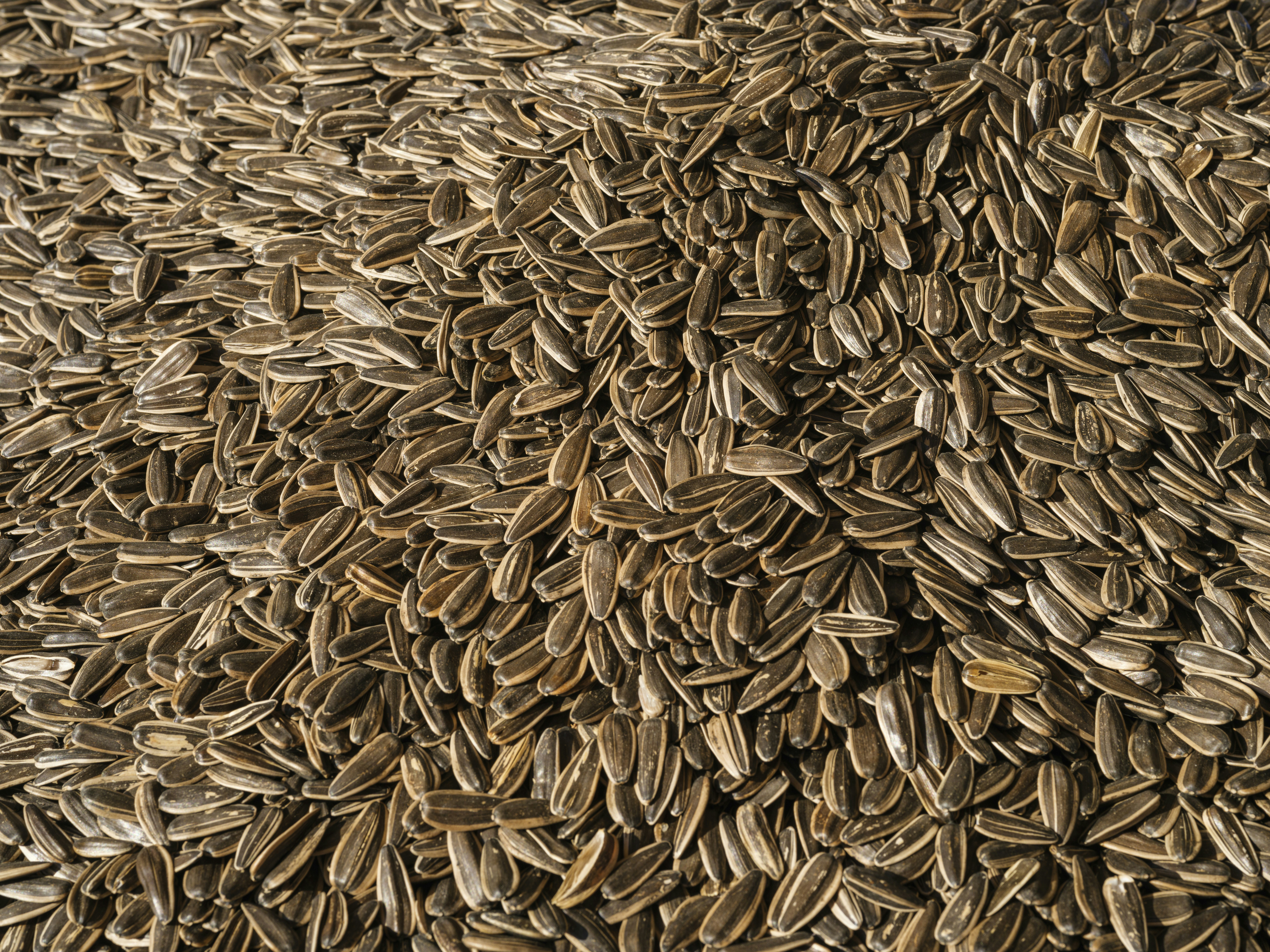 Photo by enginakyurt