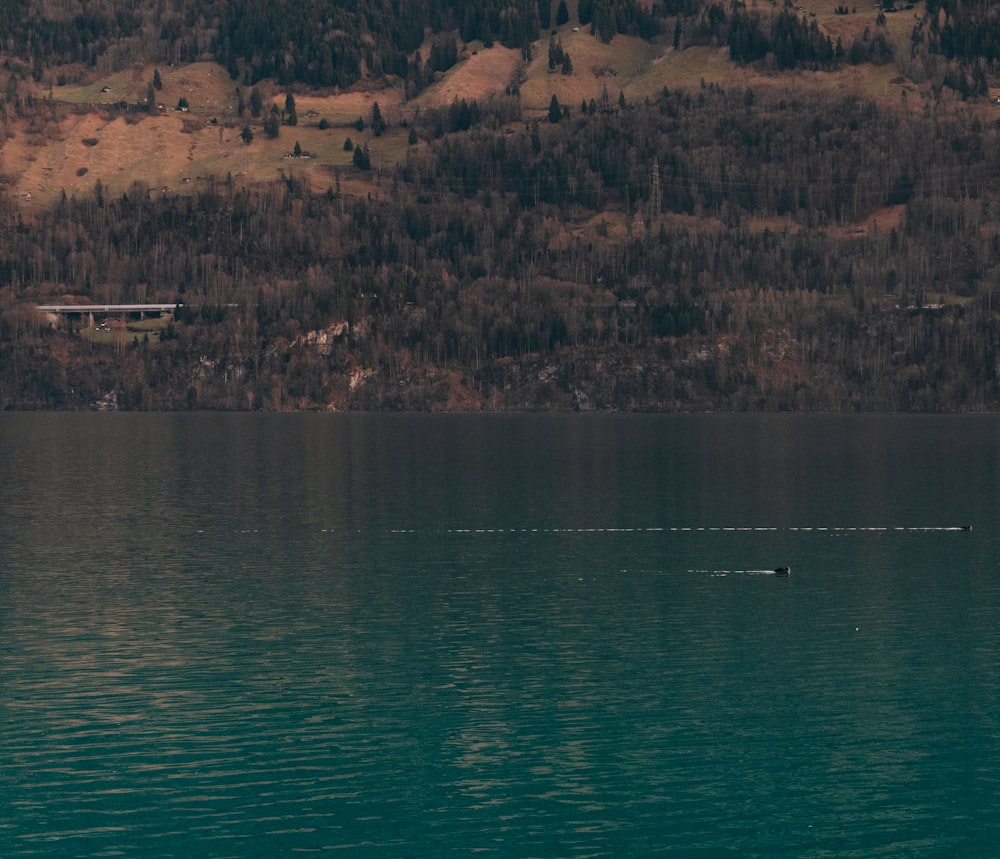 a lone boat in the middle of a large body of water