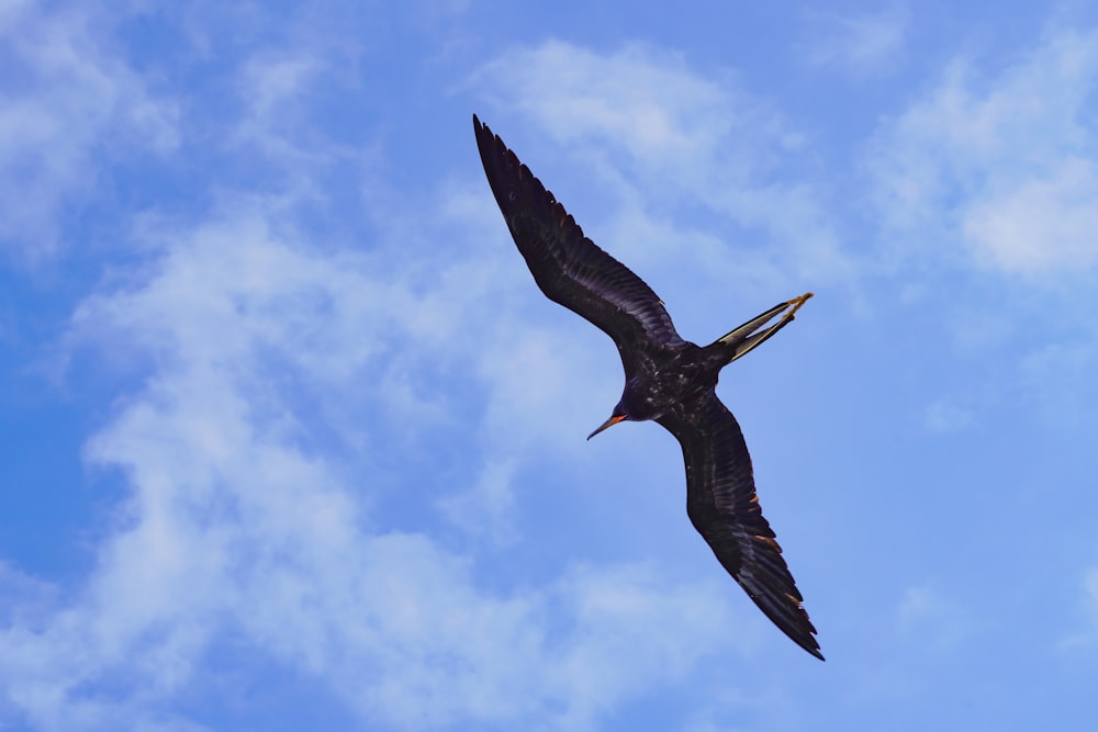 a large bird flying through a cloudy blue sky