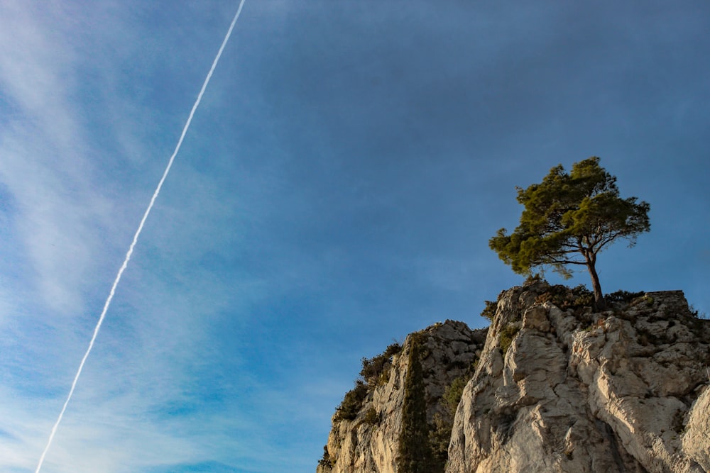 a lone tree on top of a rocky outcropping