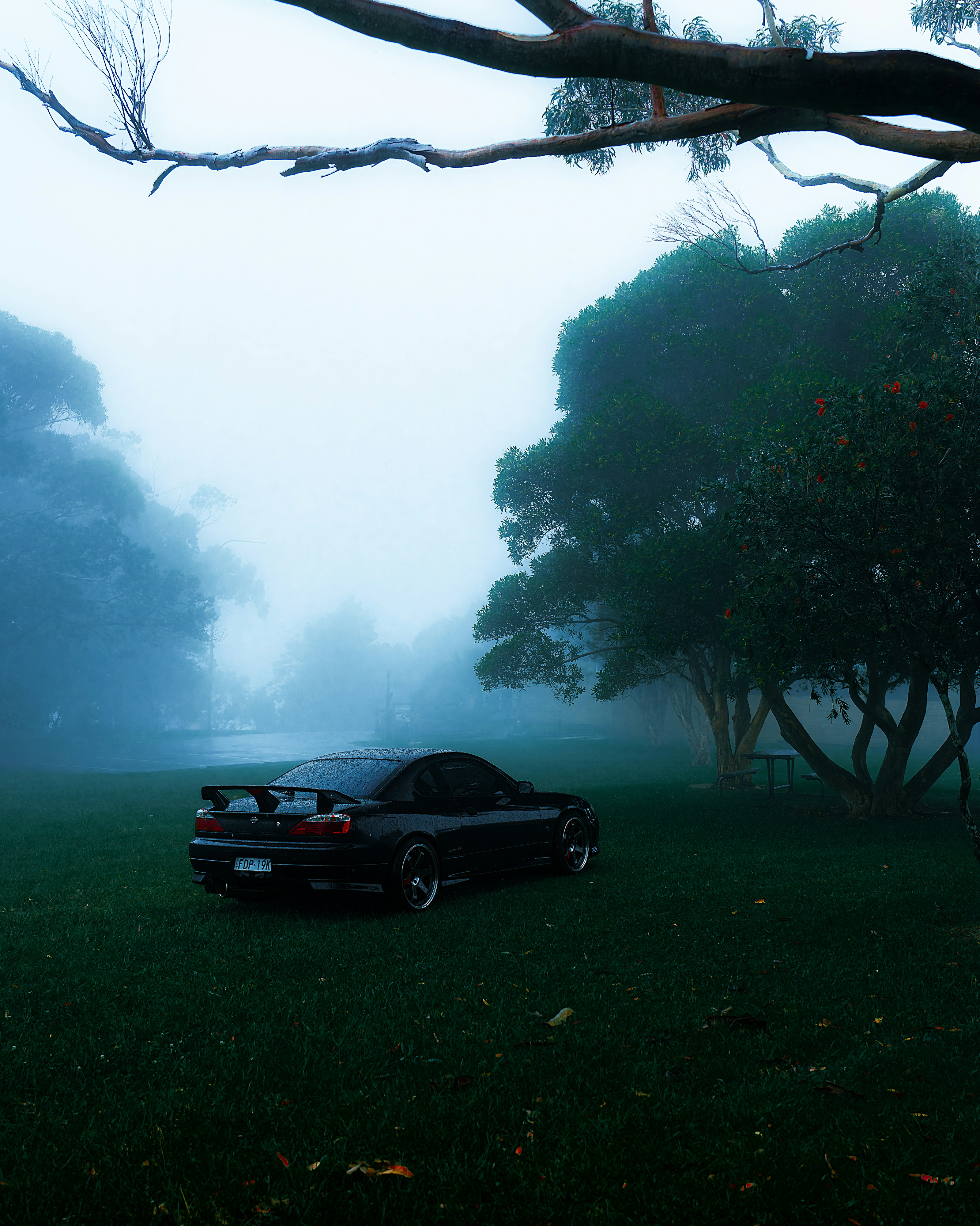 a car parked in a field with trees in the background