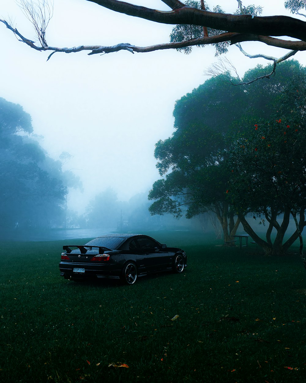 a car parked in a field with trees in the background