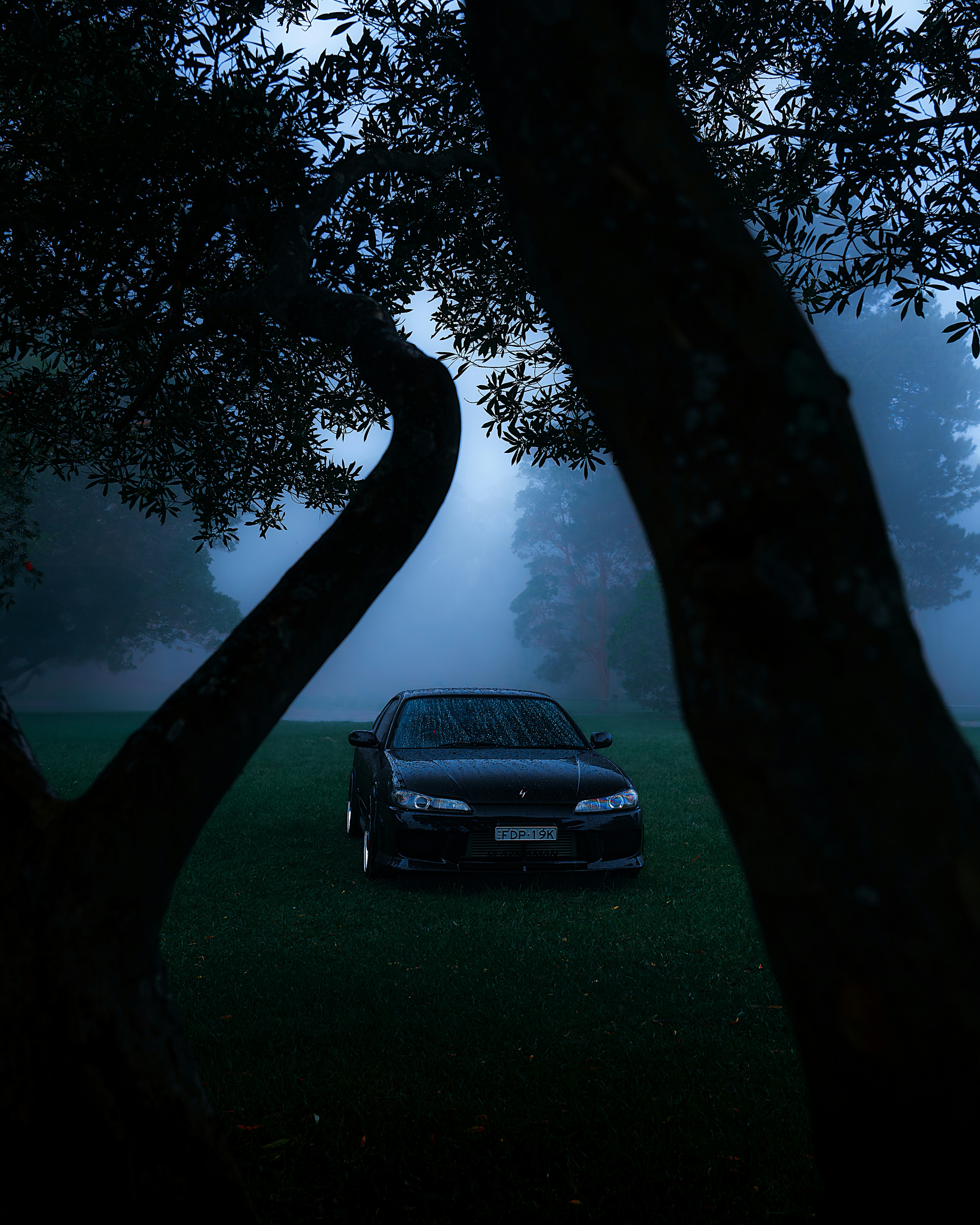 blog illustration, ilustrasi artikel Elevate Your Screen: The Allure of Foggy Forest & Moody Car Wallpapers 6