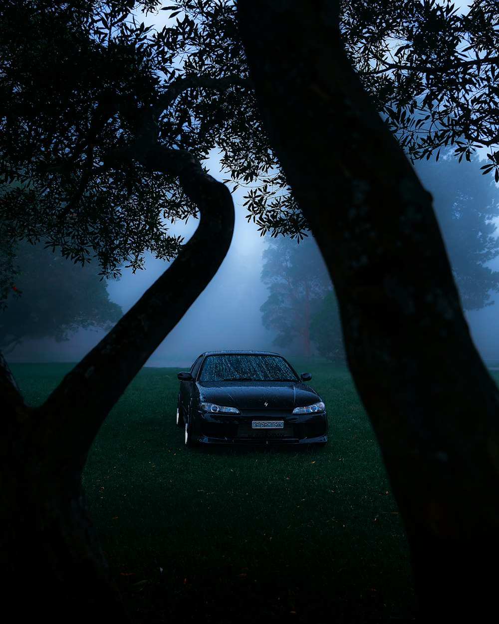 a car parked in the grass under a tree