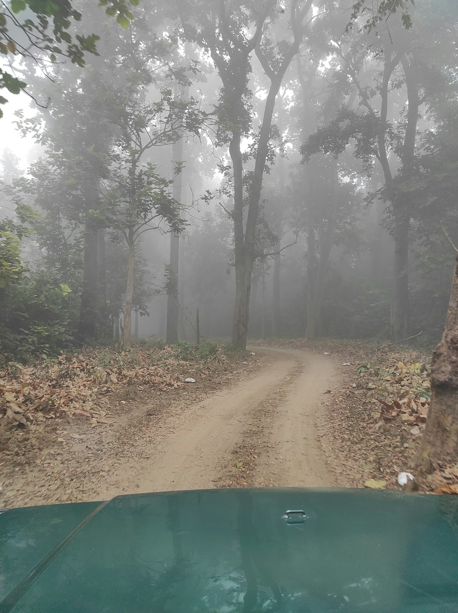 Rajaji National Park, Garhwal — Uttarakhand