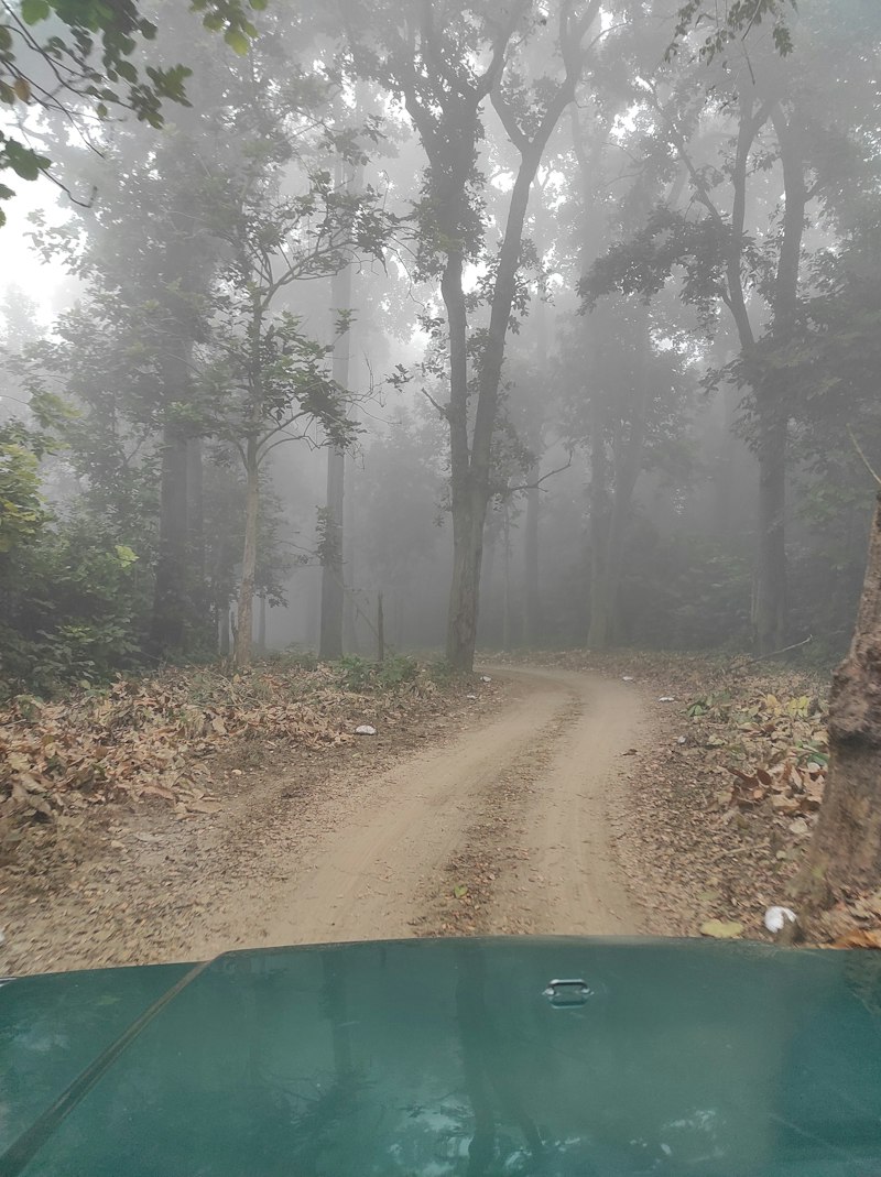 Rajaji National Park — Wildlife destination in Uttarakhand