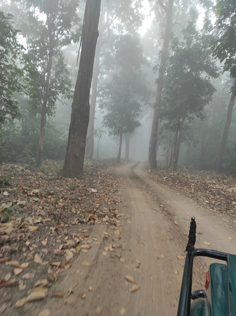 Rajaji National Park — Uttarakhand travel photograph 3