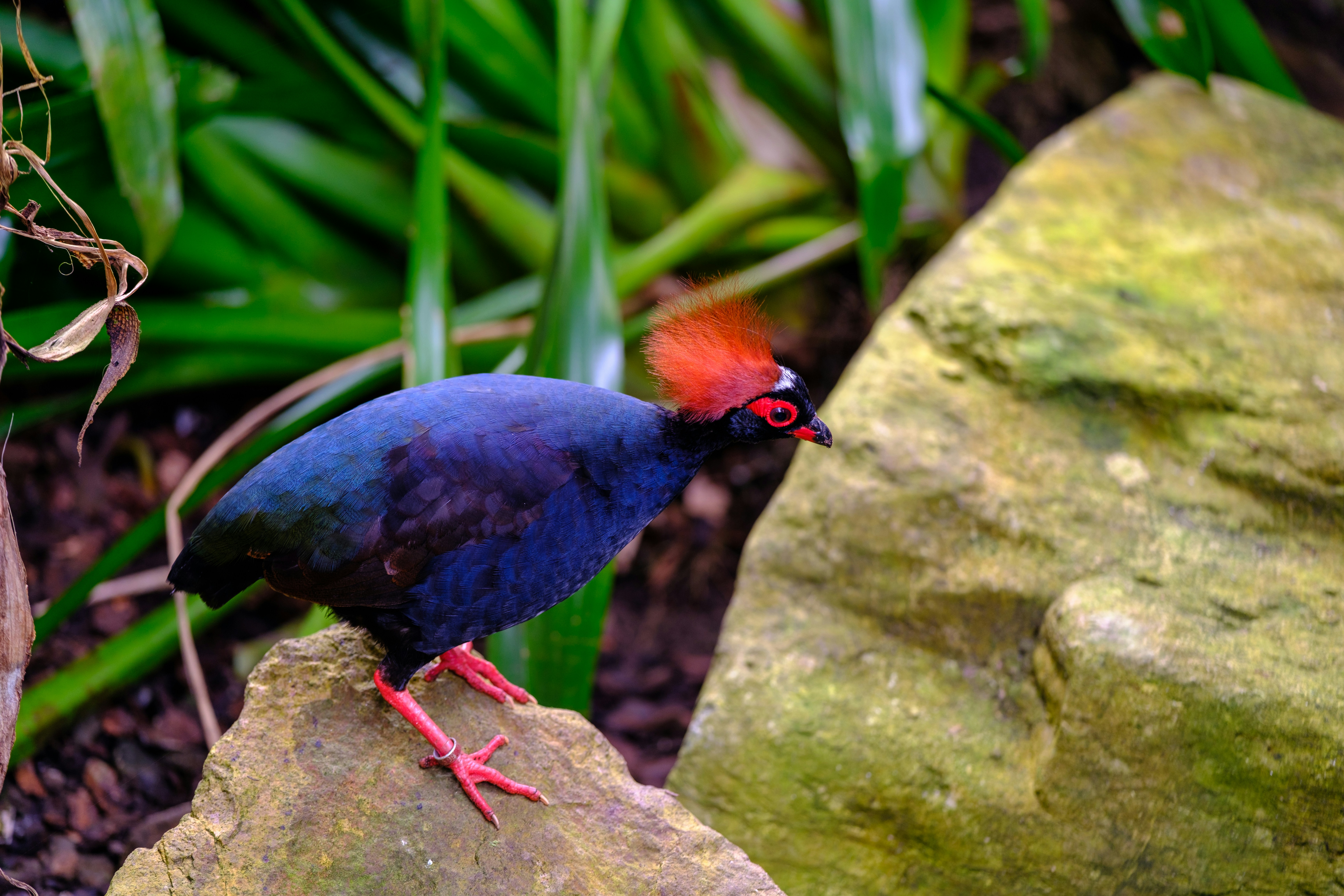 Photo by haberdoedas2