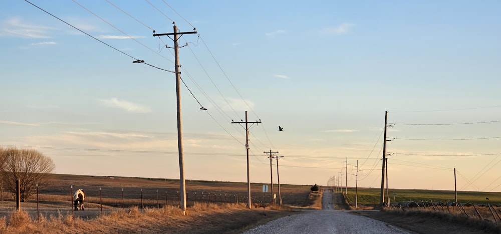 a person riding a bike down a dirt road