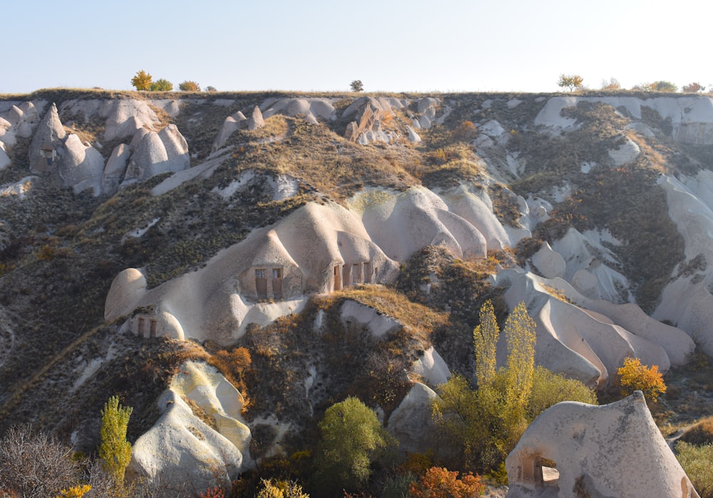 a view of a rocky landscape with trees and bushes