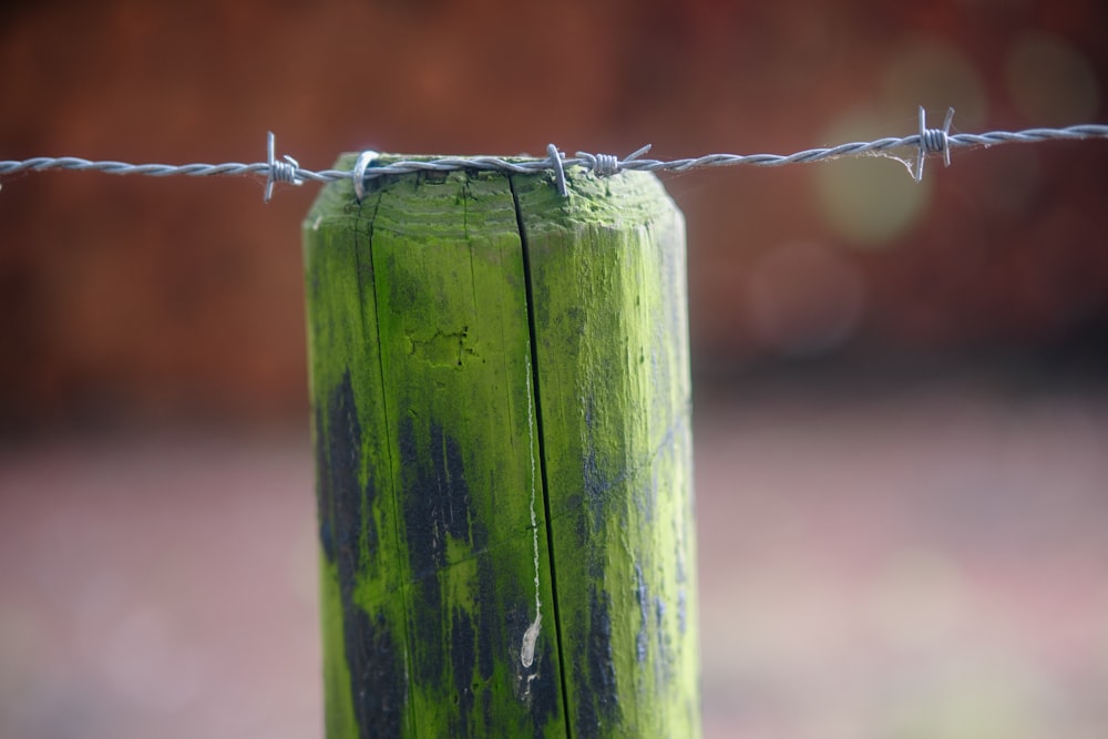 a close up of a fence post with a barbed wire