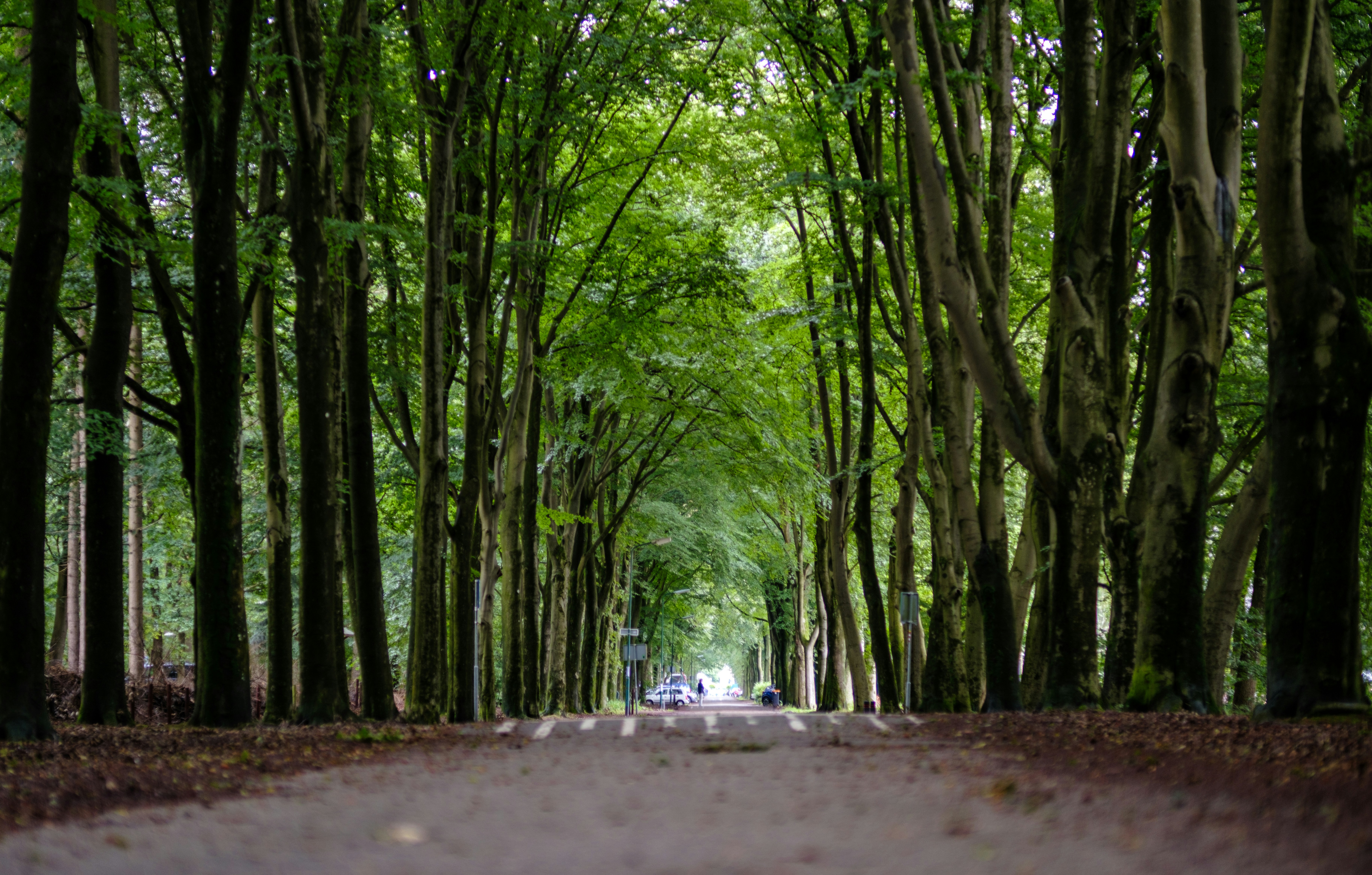 Photo by haberdoedas2