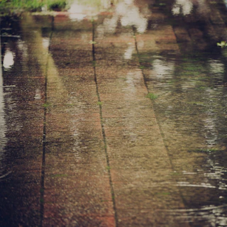 Априлски дъжд, който пръска върху мокри плочки на градинско патио по време на пролетен порой.