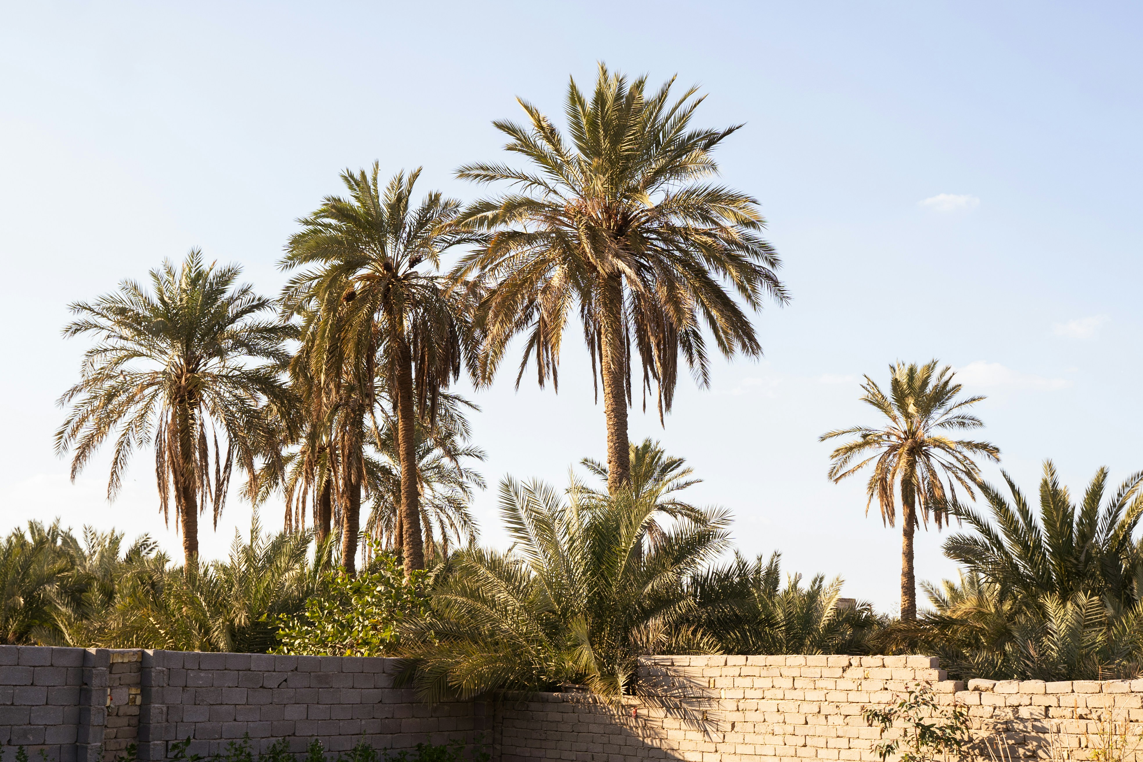 Photo by hasanmajed__