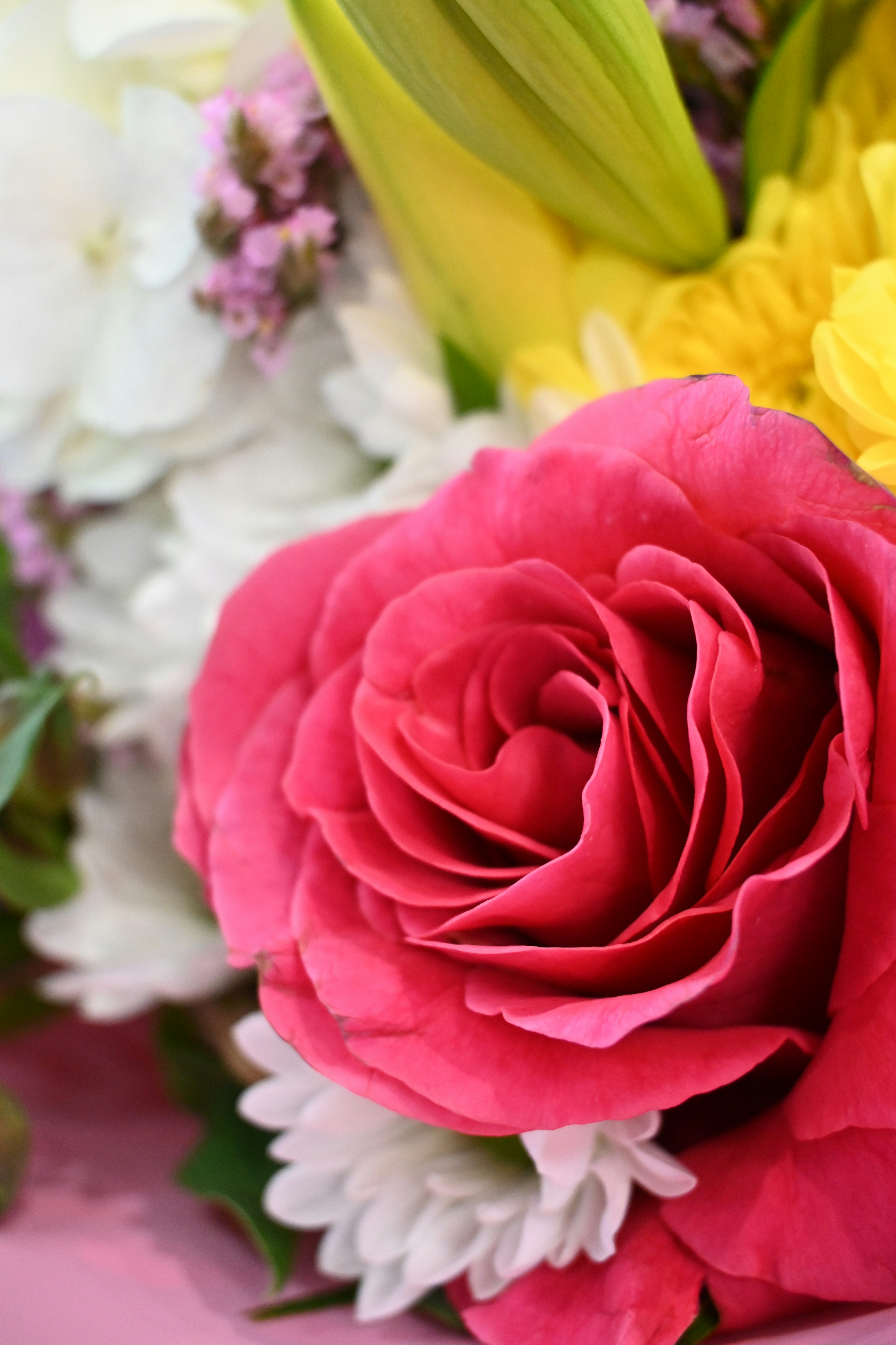 Photo by karolinabobek