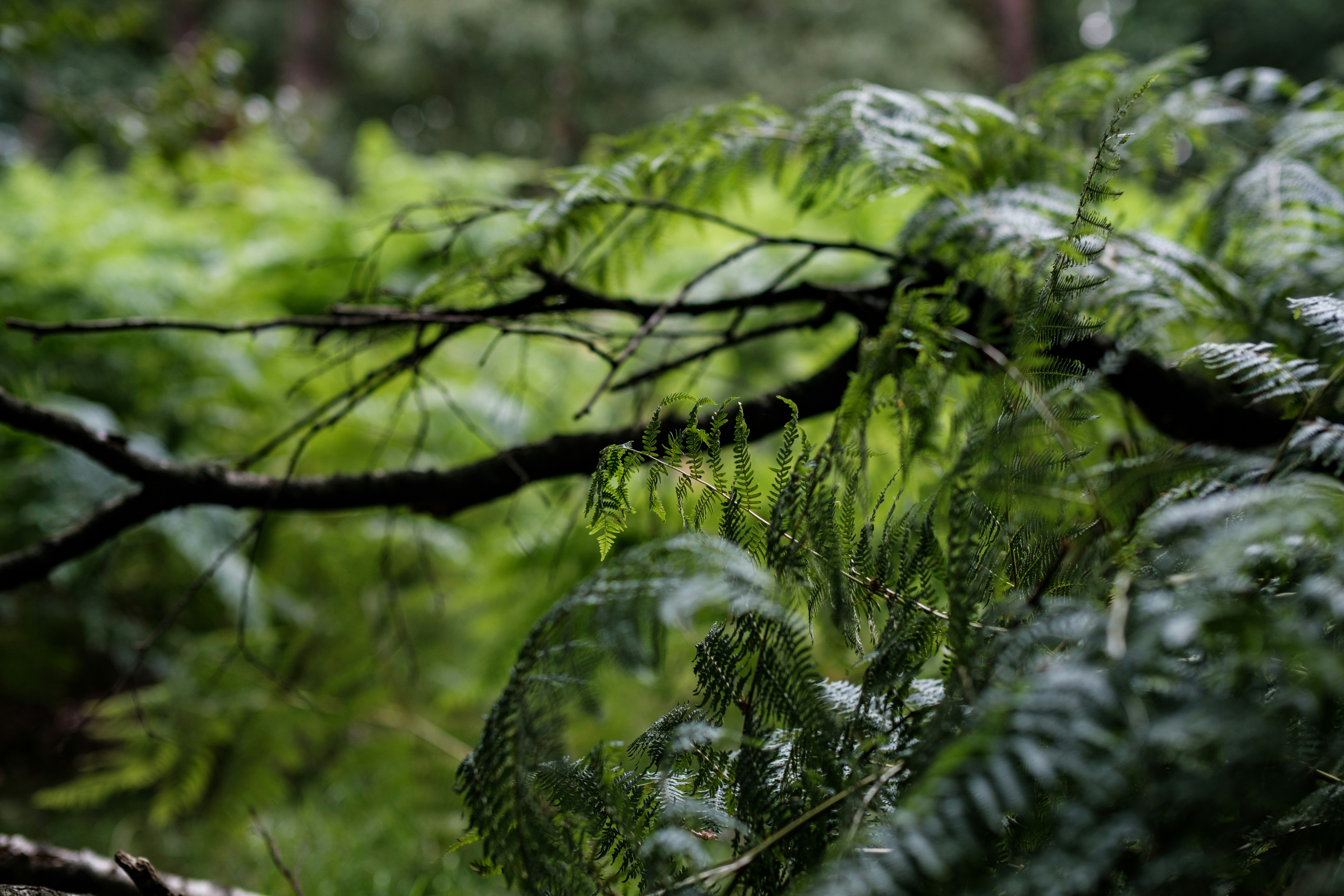 Photo by haberdoedas2