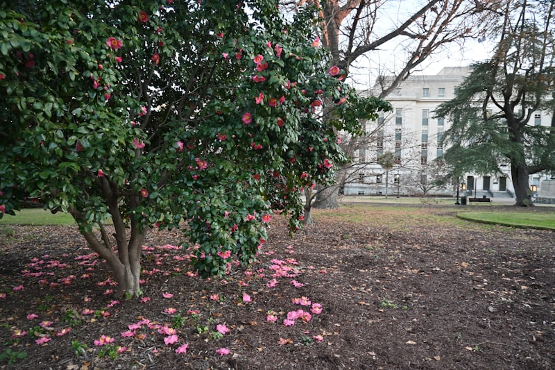 Columbia State House