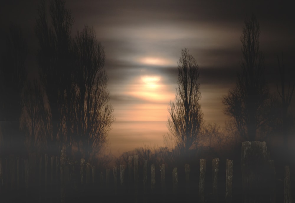 a foggy night with a fence and trees