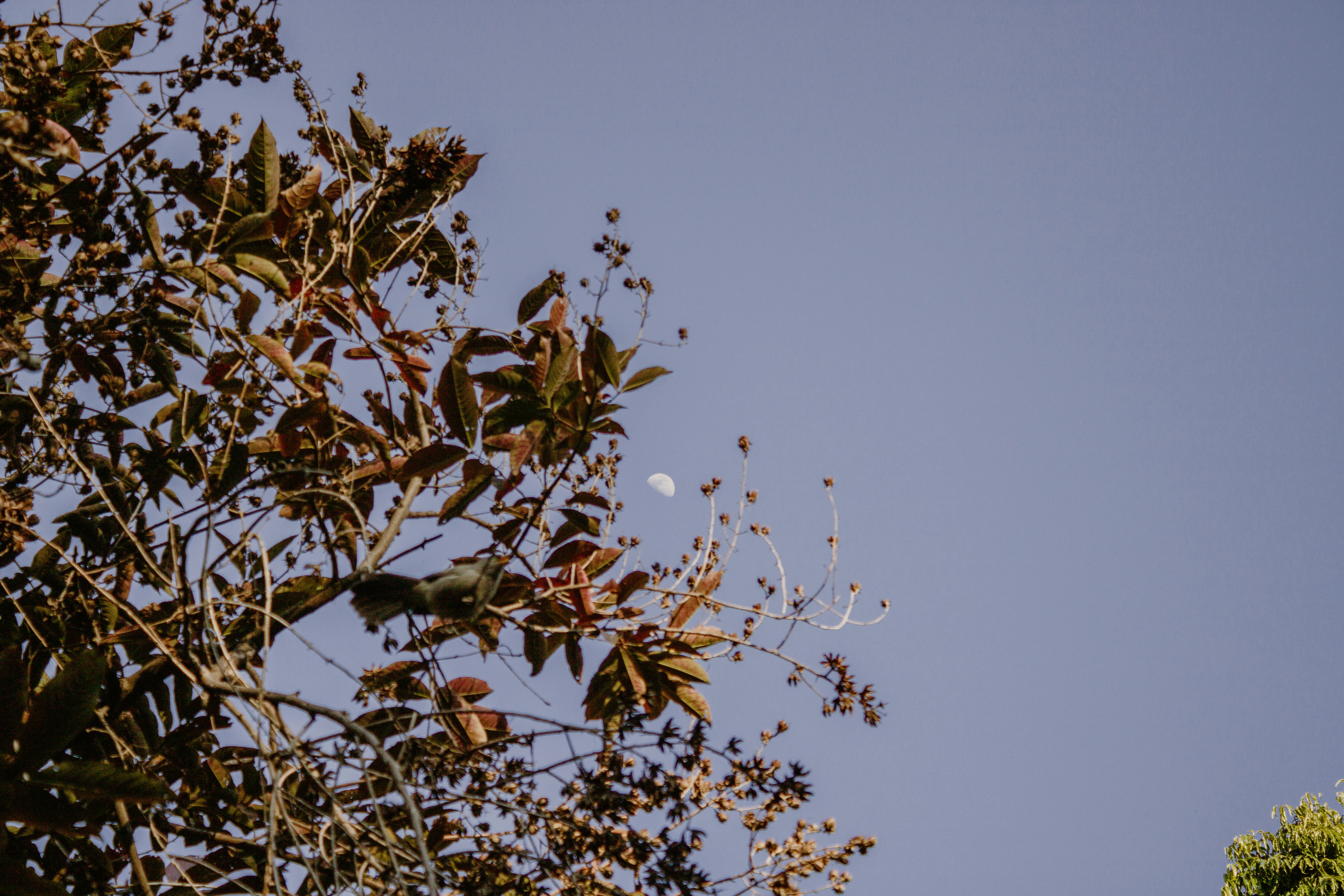 Photo by ____aka_dev0