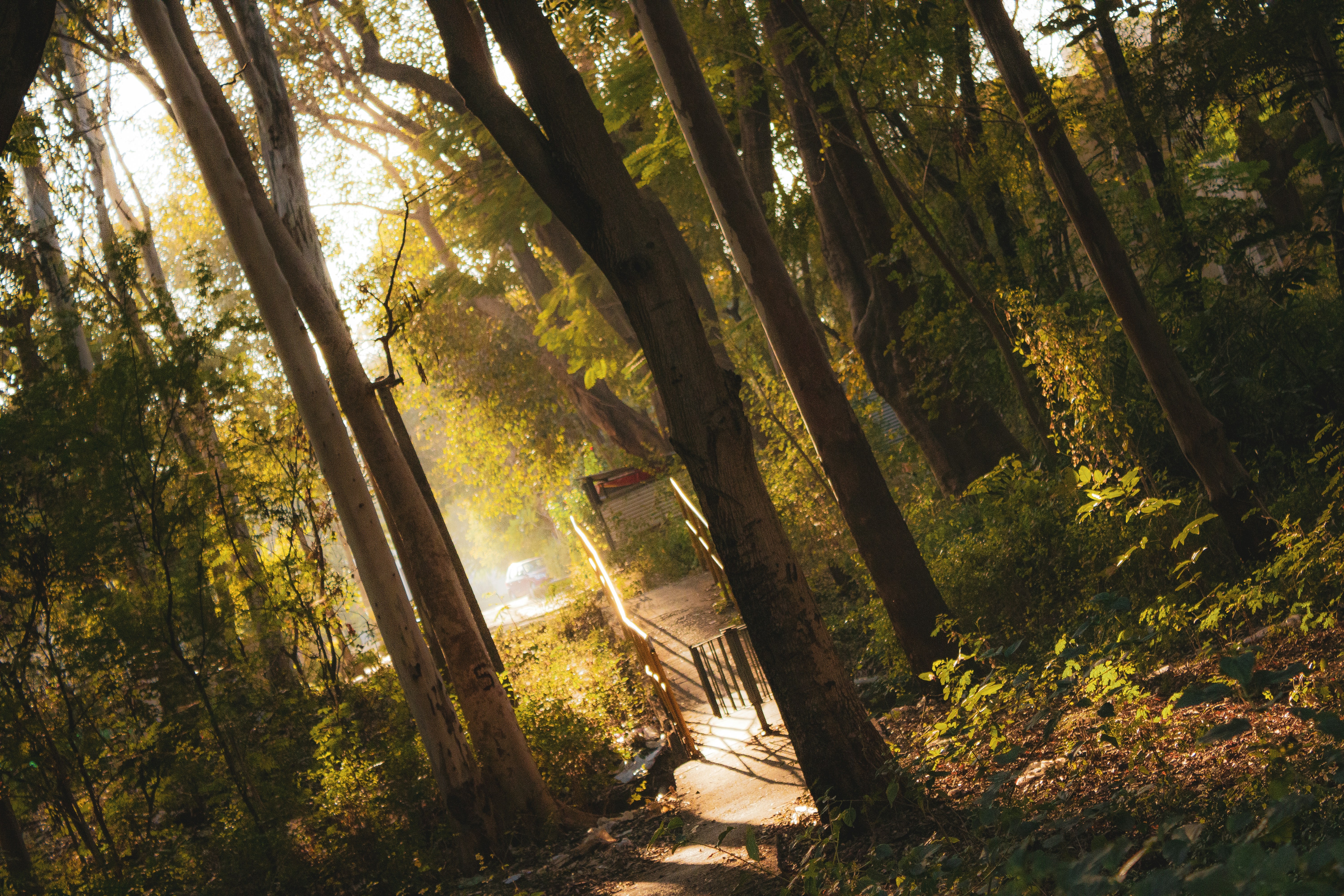 Photo by ____aka_dev0