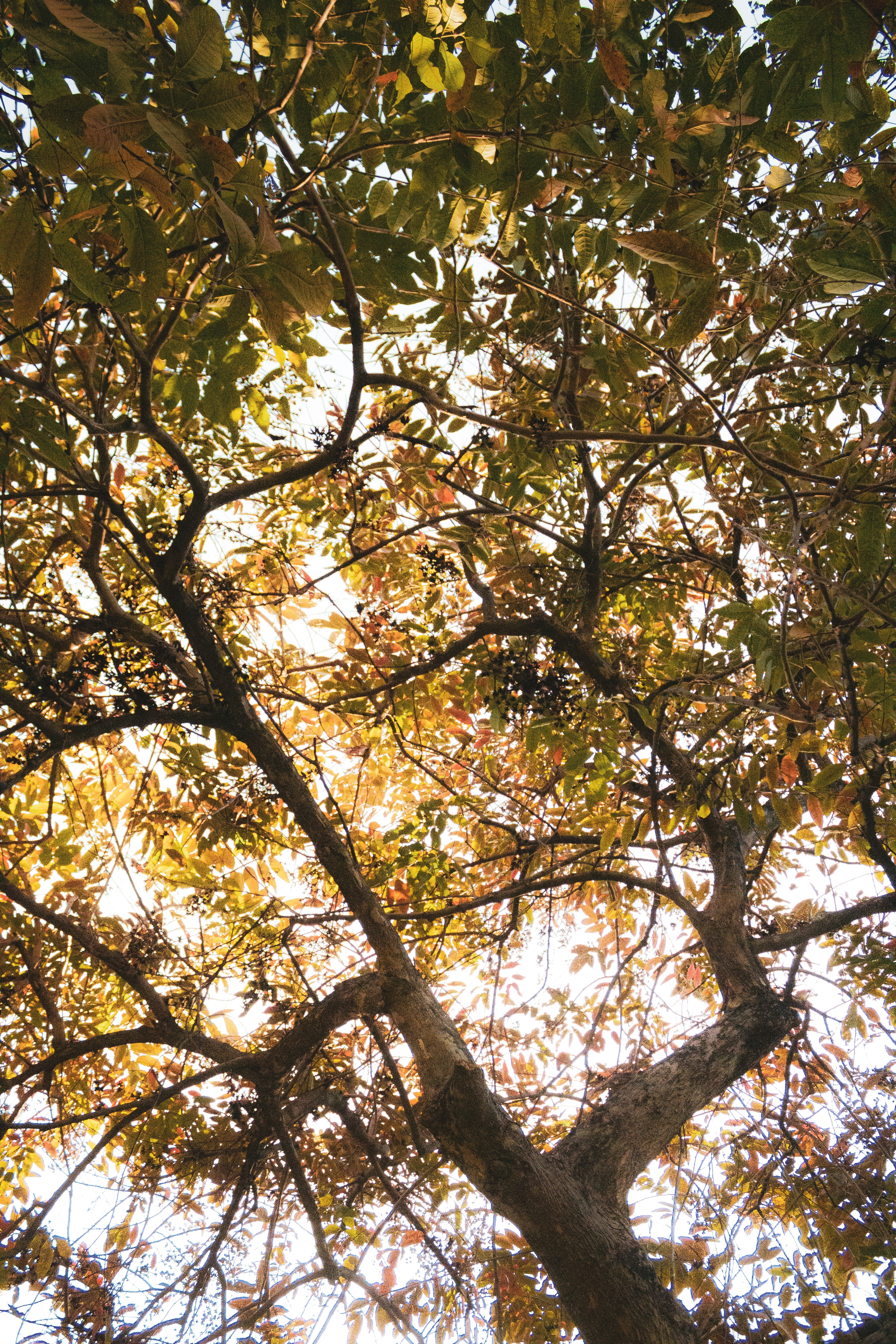 Photo by ____aka_dev0