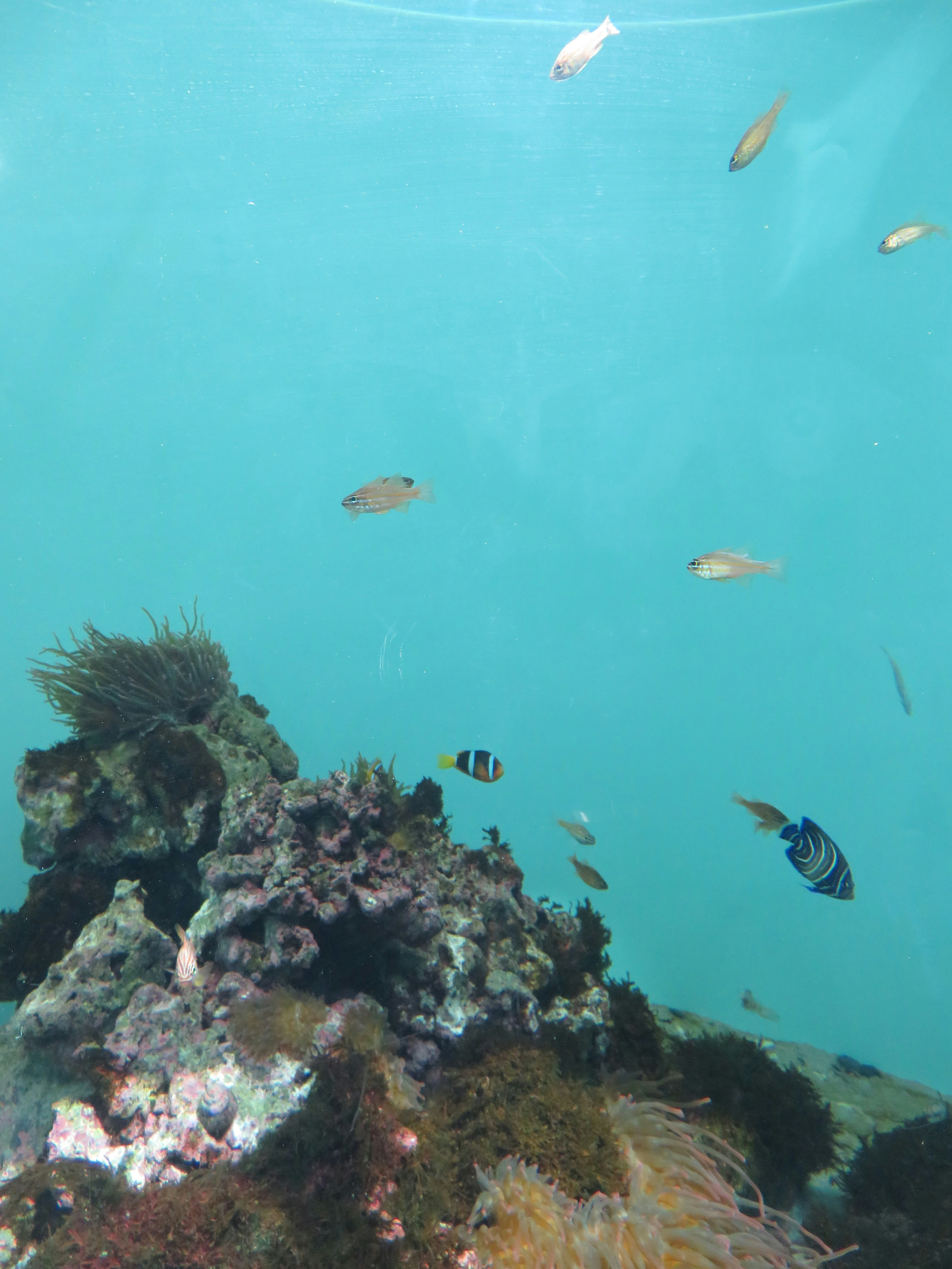 Photo by nolla_photos