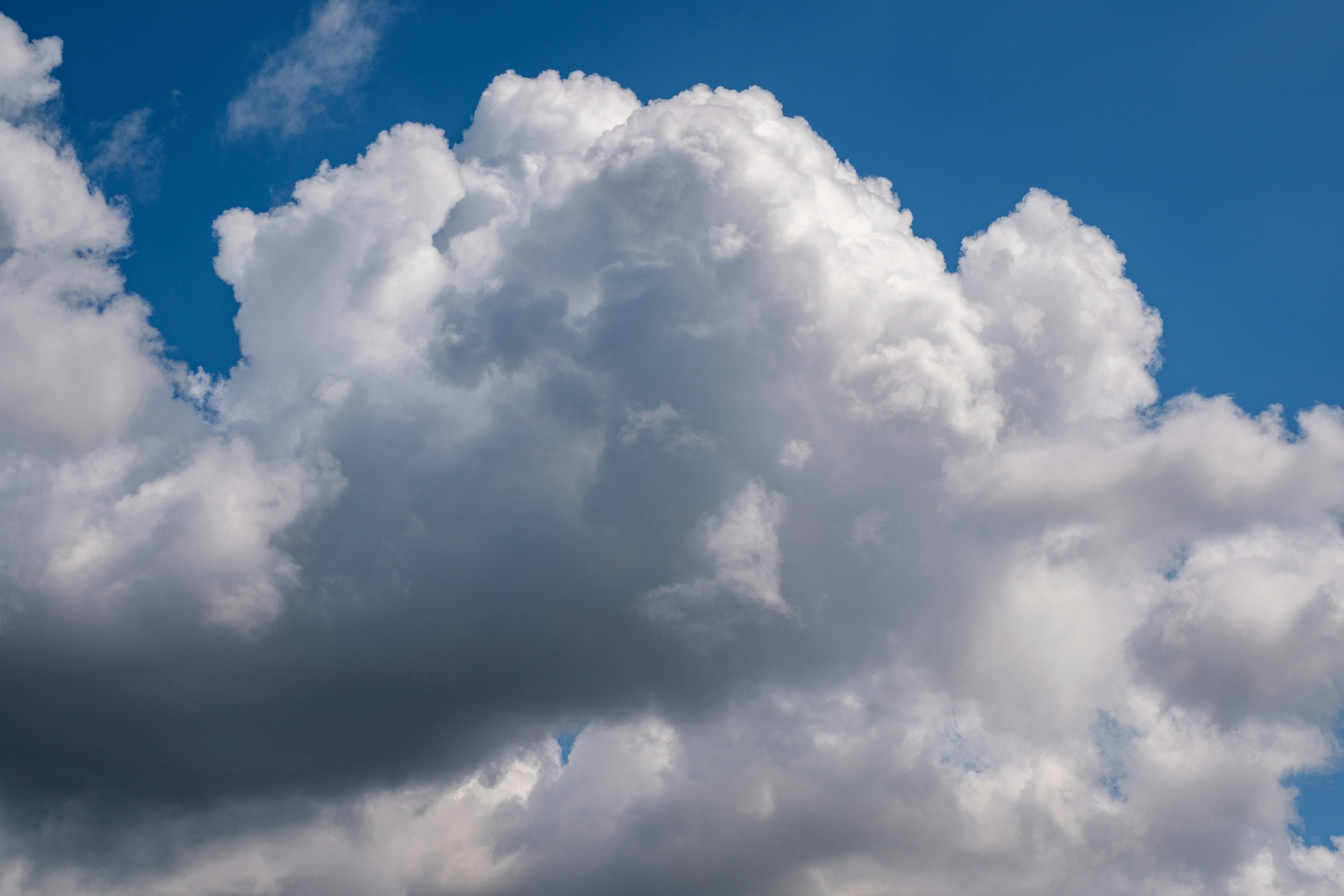 Photo by haberdoedas2