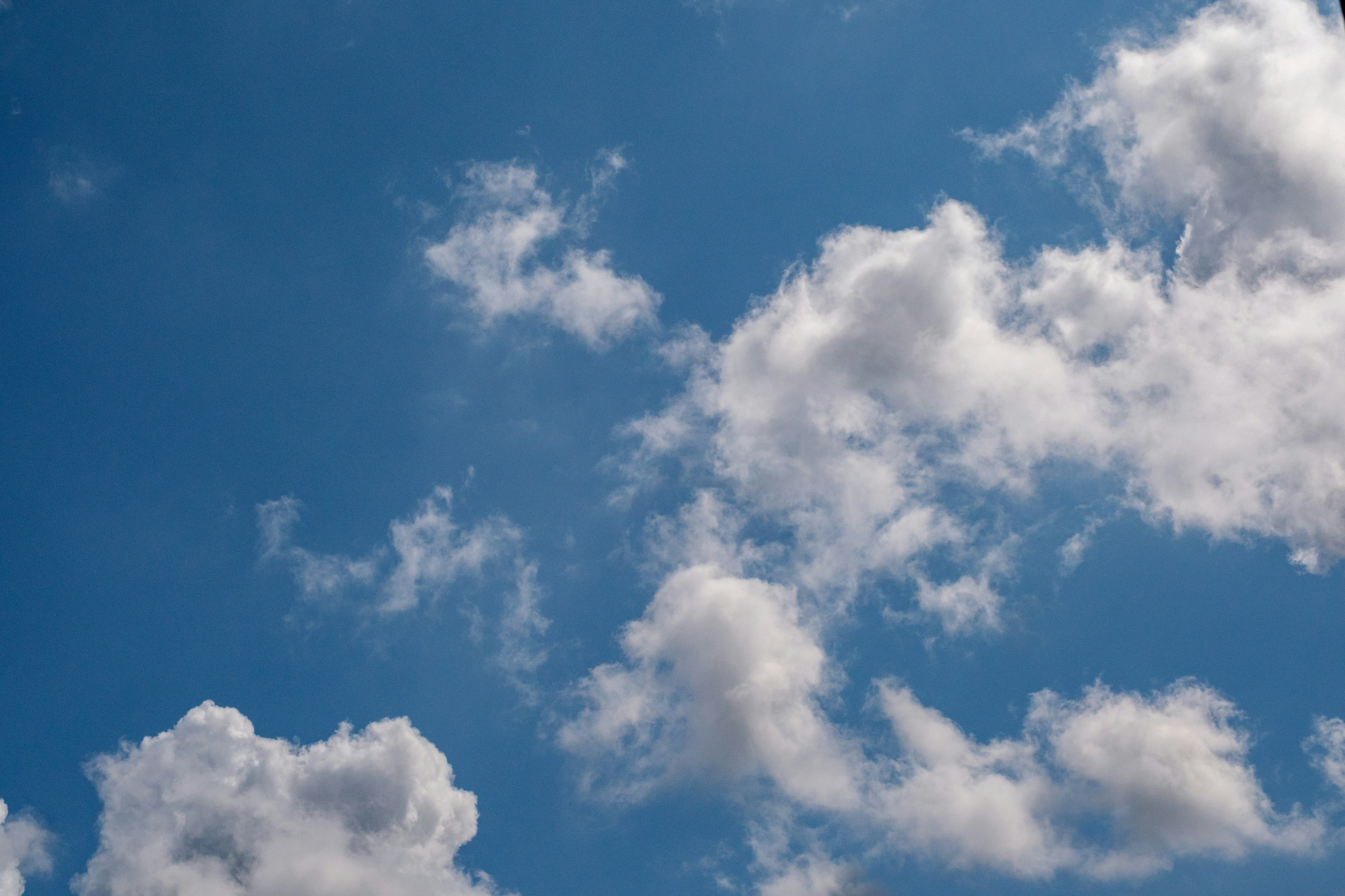 Photo by haberdoedas2