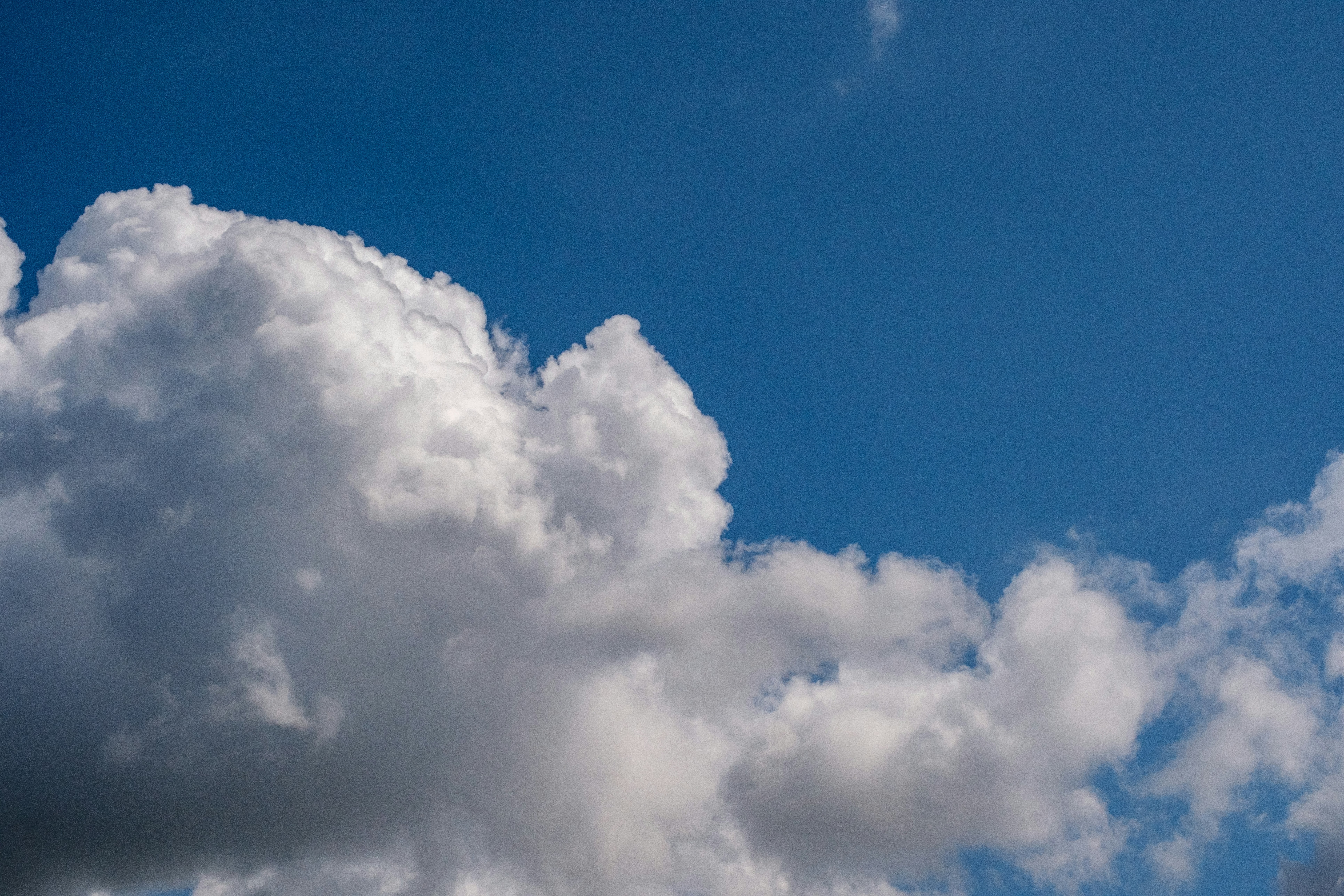 Photo by haberdoedas2